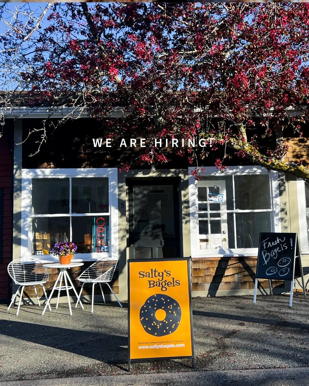 We&rsquo;re hiring at Salty&rsquo;s Bagels 🥯 
Join our fun, hardworking crew making and baking artisan bagels from scratch! Looking for an Assistant Baker and a Bagel Production Team Member for part-time positions in our fast-paced Rockport shop. Su