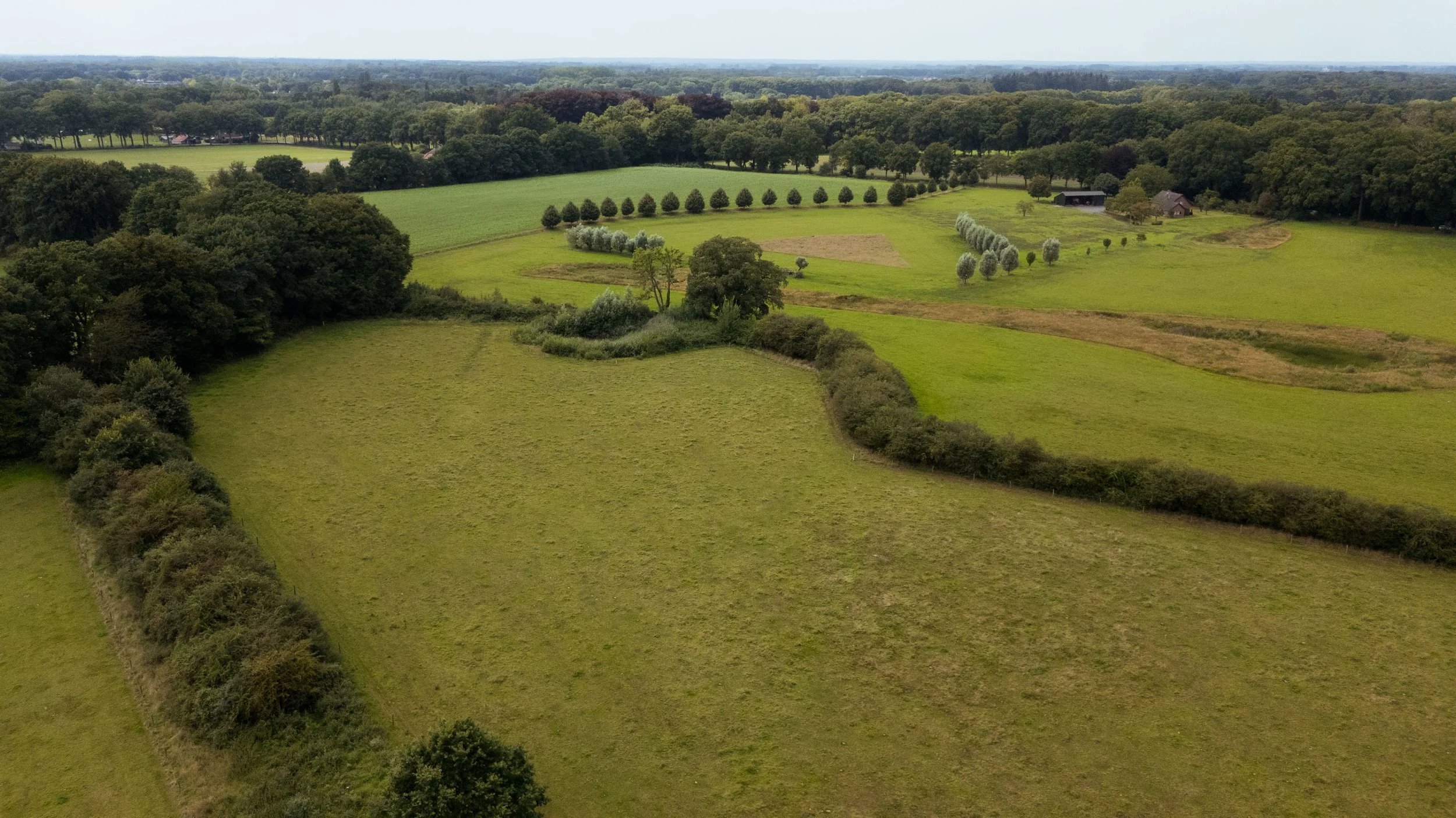 DJI_20250812135154_0084_D.jpg
