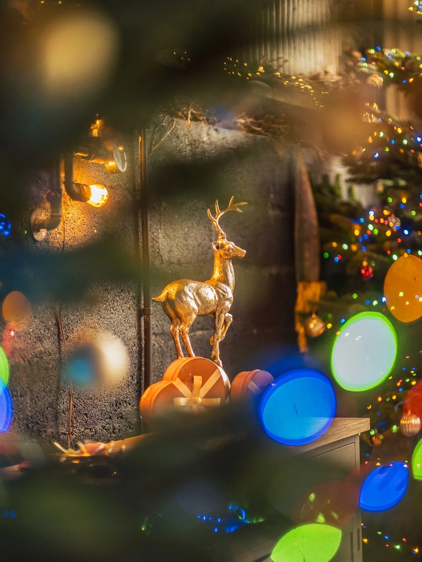 Your new favourite holiday tradition - The Fitz Christmas Festival 🎄💫

Tickets are limited so don&rsquo;t miss out 🎅

Tickets available to through the link in our bio🔗

#thefitzchristmasfestival #laoisstradbally #christmasmarketsireland