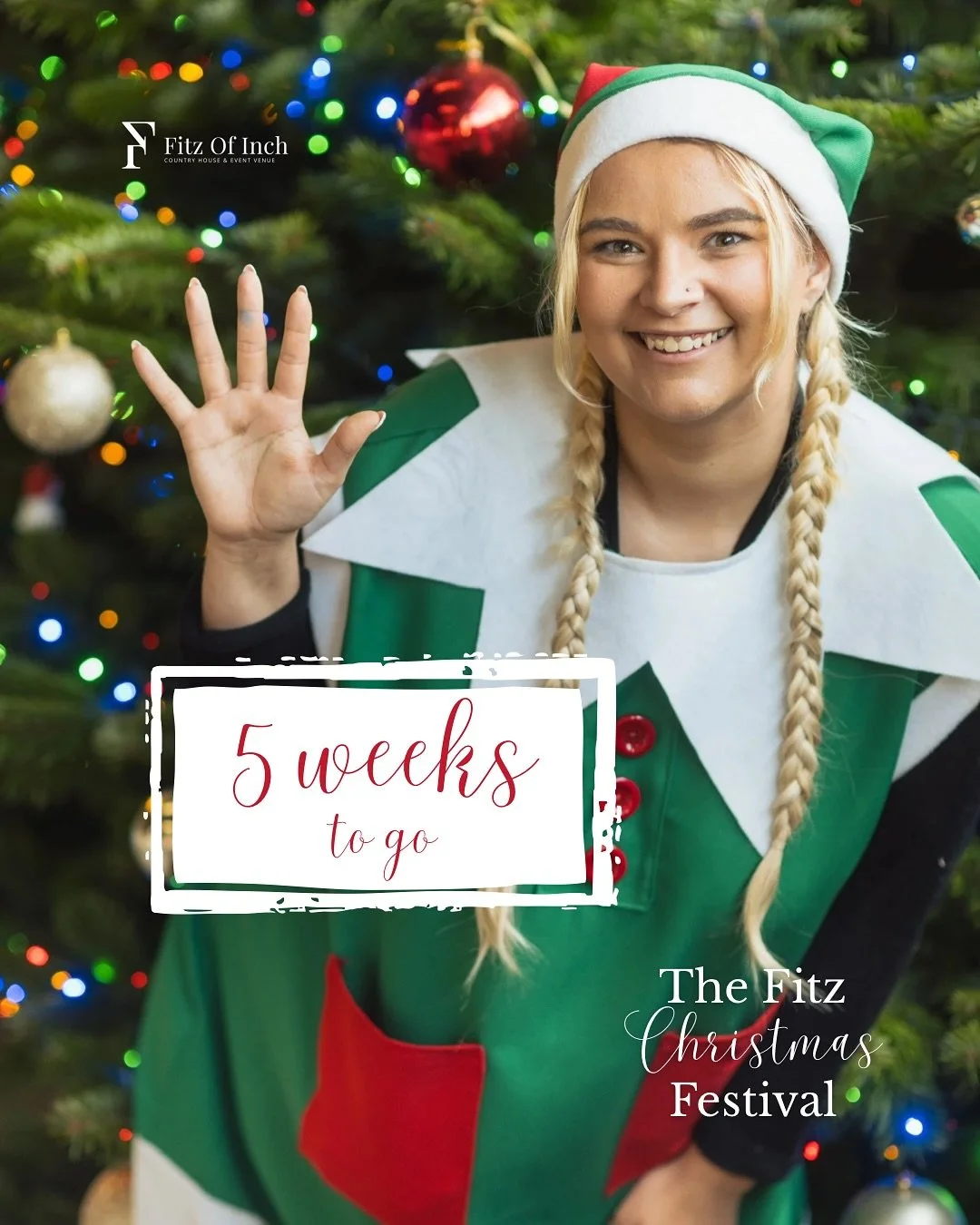 We are 5 weeks away from The Fitz Christmas Festival!! 

From craft &amp; food stalls to live music &amp; a visit to Santa&rsquo;s grotto, enjoy a fun-filled weekend with your family &amp; friends this festive season🎄🎶

Tickets are available throug