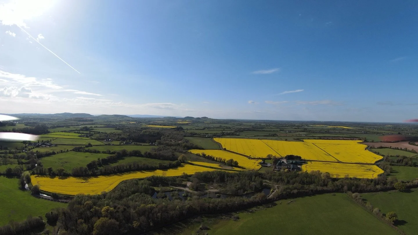 What a scene, capturing the beauty of Fitz Of Inch from above with fields of Rape Seed Oil blooming. #birdseyeview #stradbally #rapeseedoil #irishfarm