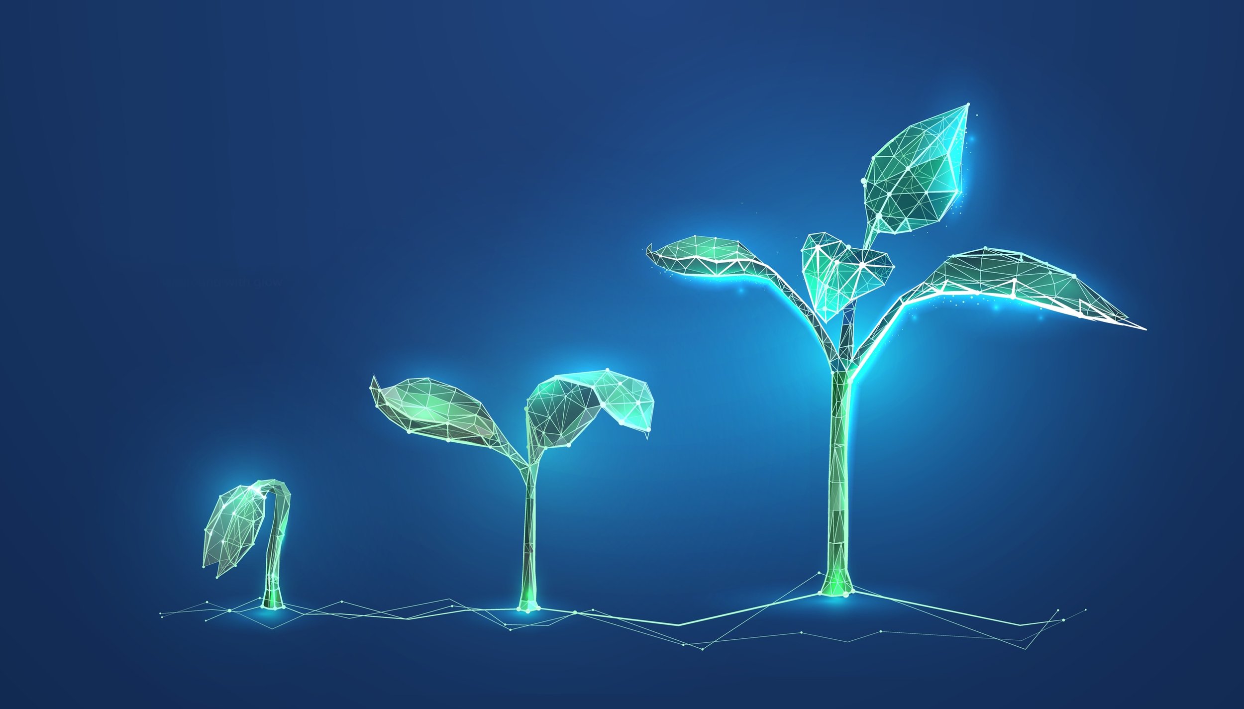 shutterstock_2056024889_1.jpg