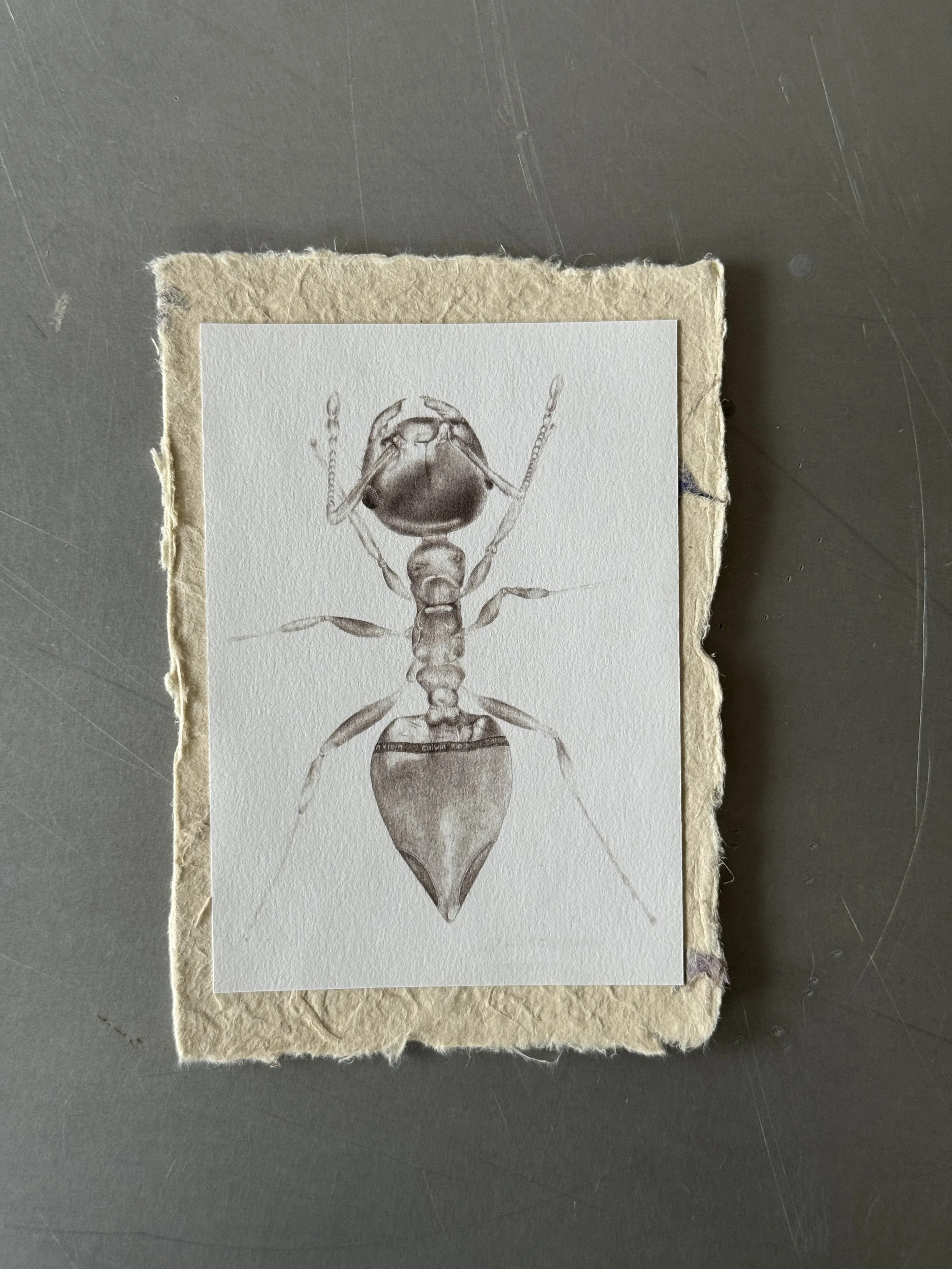 handmadecard05.JPG