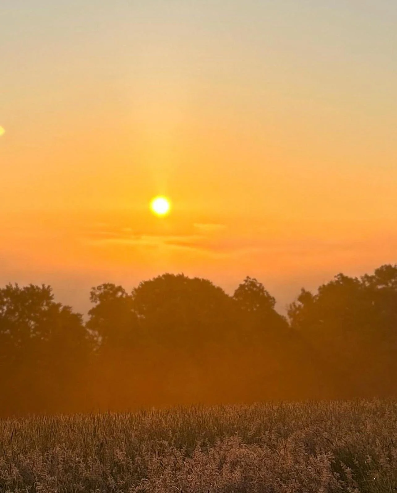 Rumbullion Farm Orange Sunrise.jpg