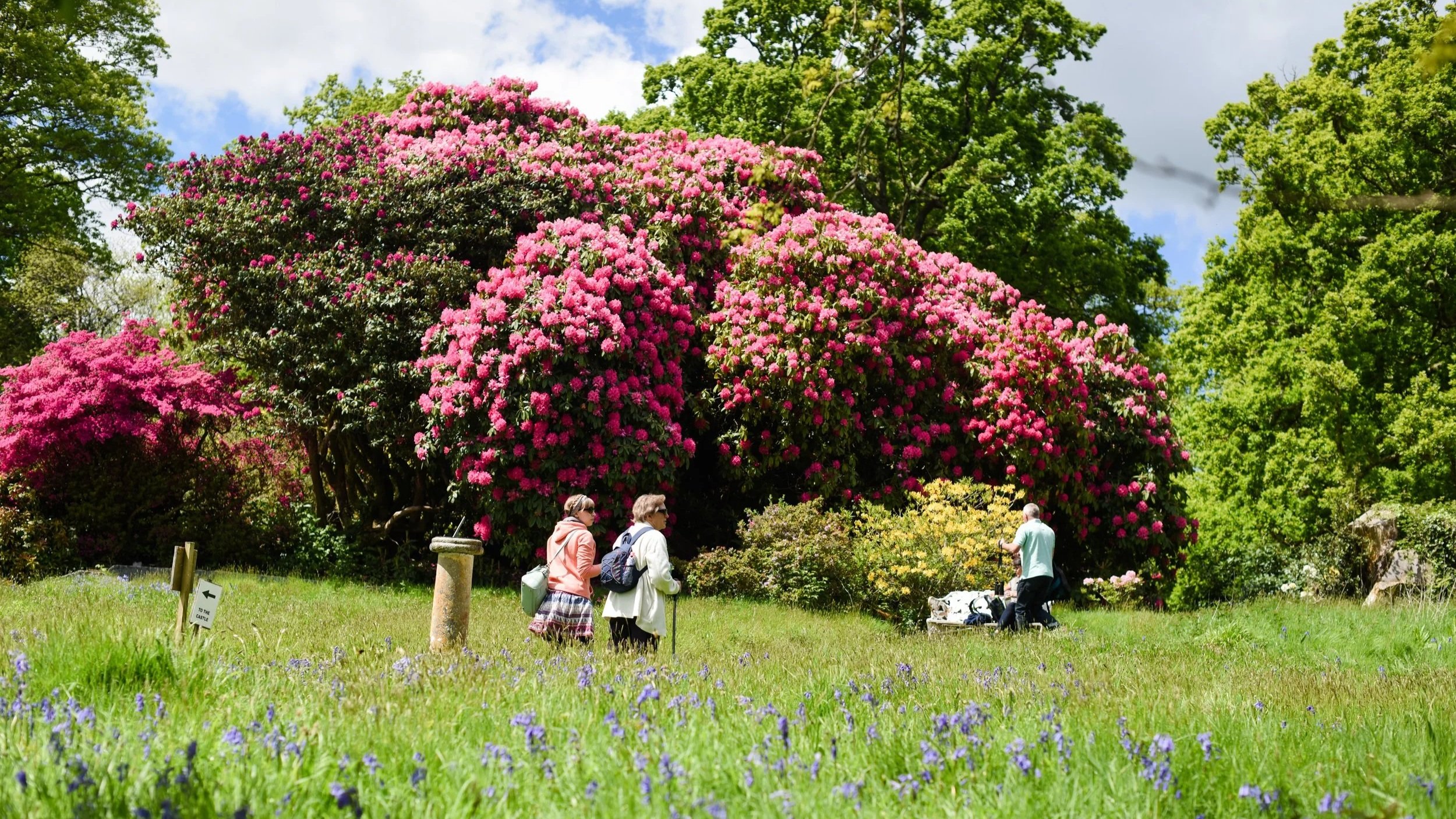 Alzheimer’s Society Charity Garden Open Day