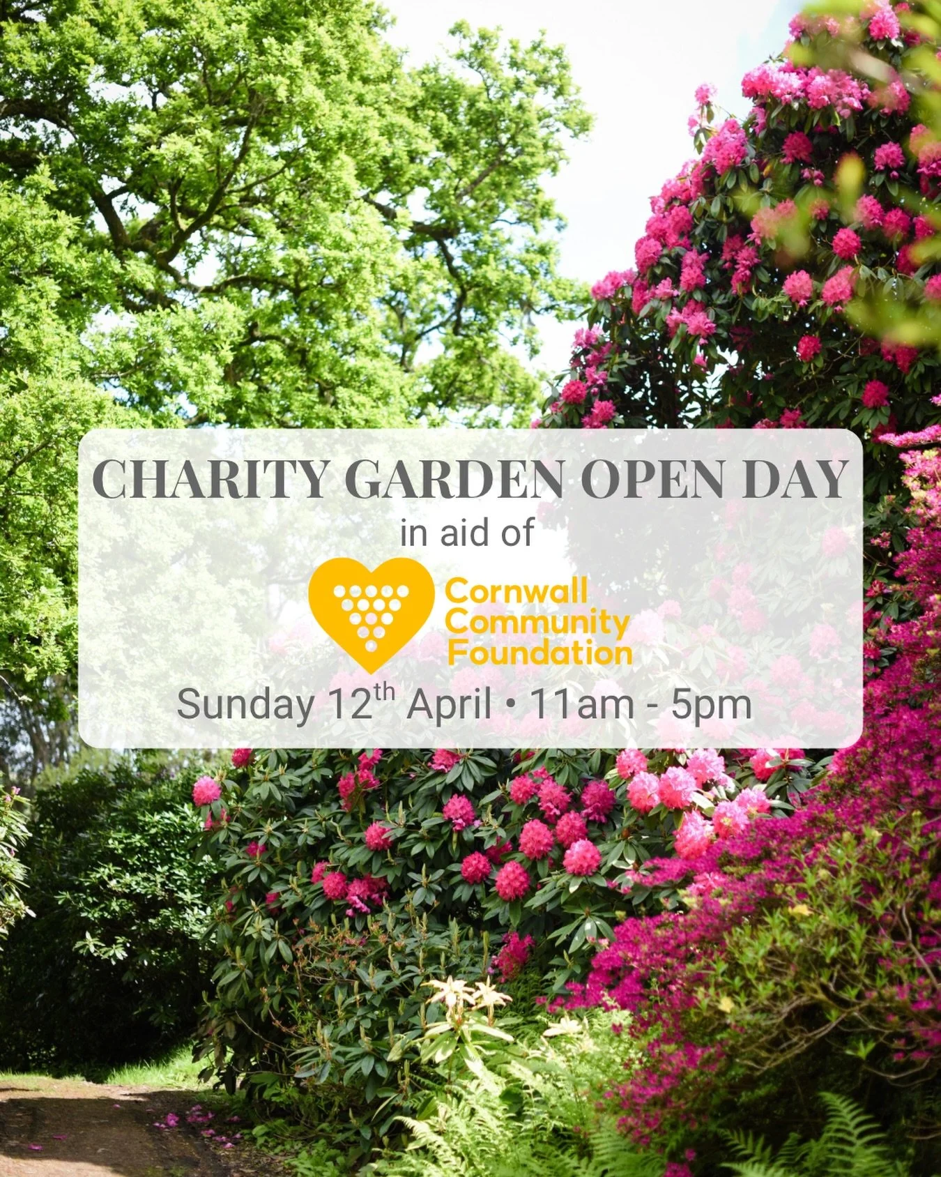 Join us this Sunday for a charity Garden Open Day in Spring Bloom🌷

Sunday 12th April | 11am-5pm in aid of @cornwallcommunityfoundation 

Come and enjoy the gardens with loved ones, while supporting a brilliant local cause dedicated to supporting co
