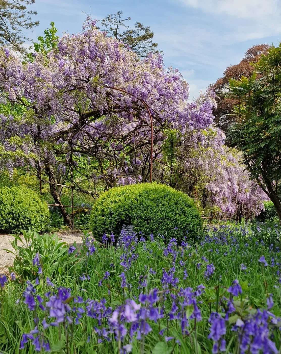 The Pentillie gardens are calling&hellip;

National Walking Month begins today, and this year&rsquo;s theme is &ldquo;Try 20&rdquo; ~ encouraging 20 minutes of walking a day to boost wellbeing while reconnecting with nature and loved ones.

We have 2