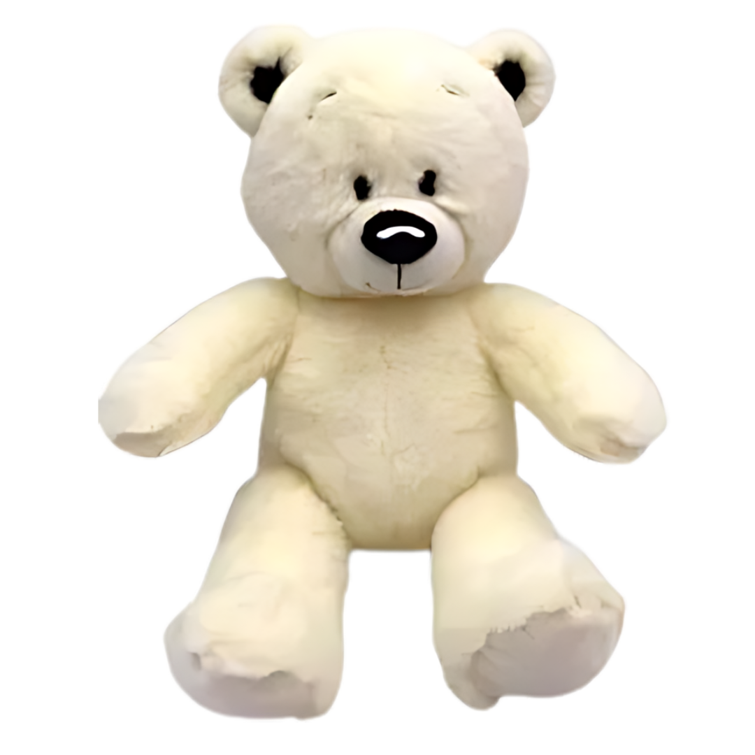 Teddy