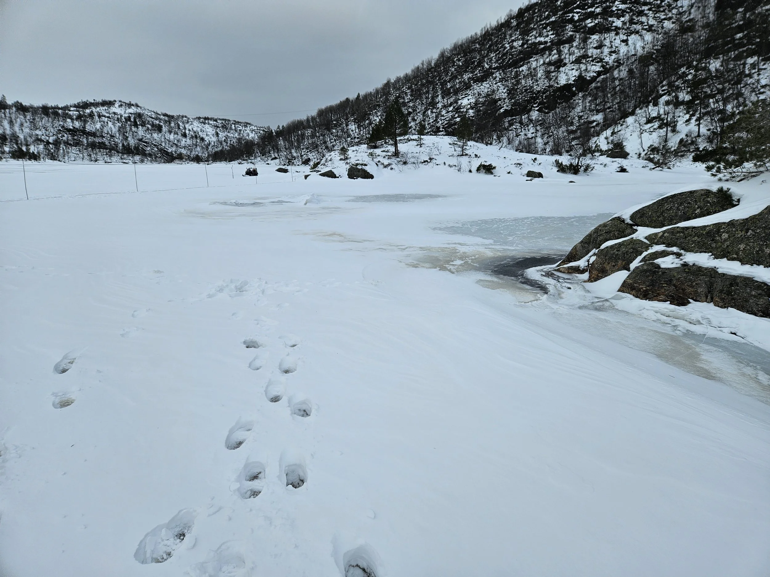 Nedra Førevatn 12.02.2026