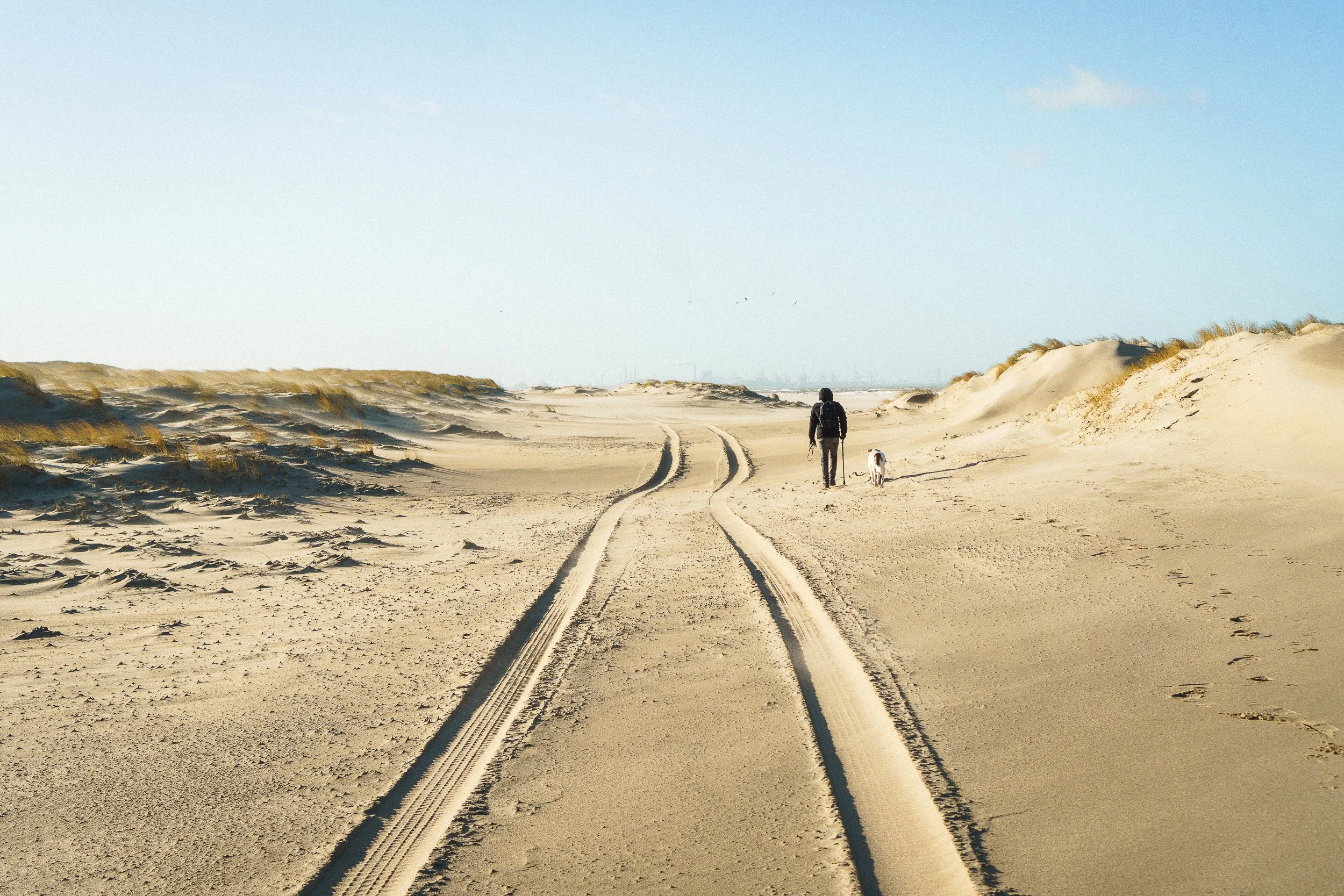 A person and a dog walking on a sandy beach with tire tracks, dunes on either side, and a clear blue sky.