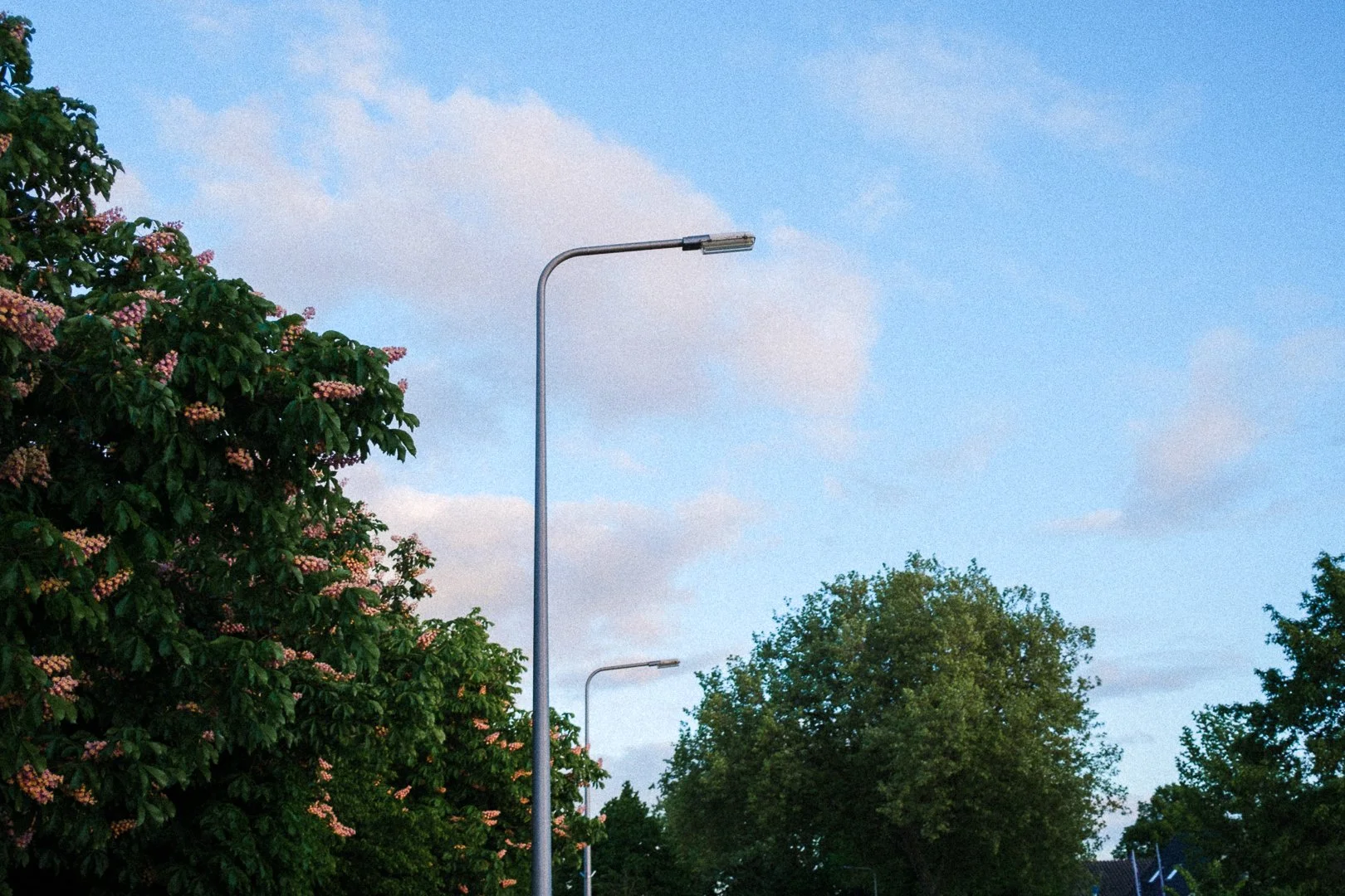 05everyday-19.jpg