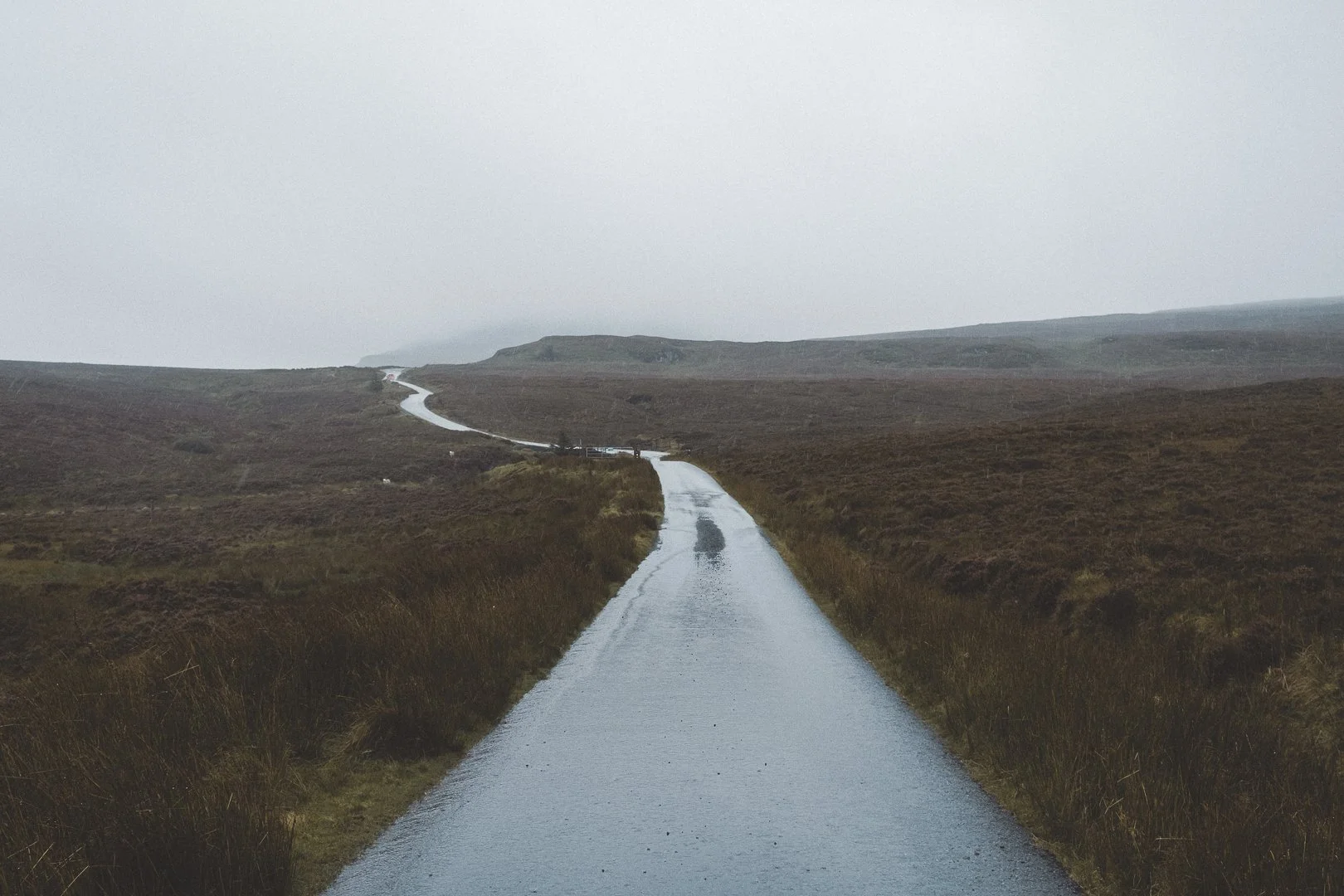 Rainy minimalist landscape