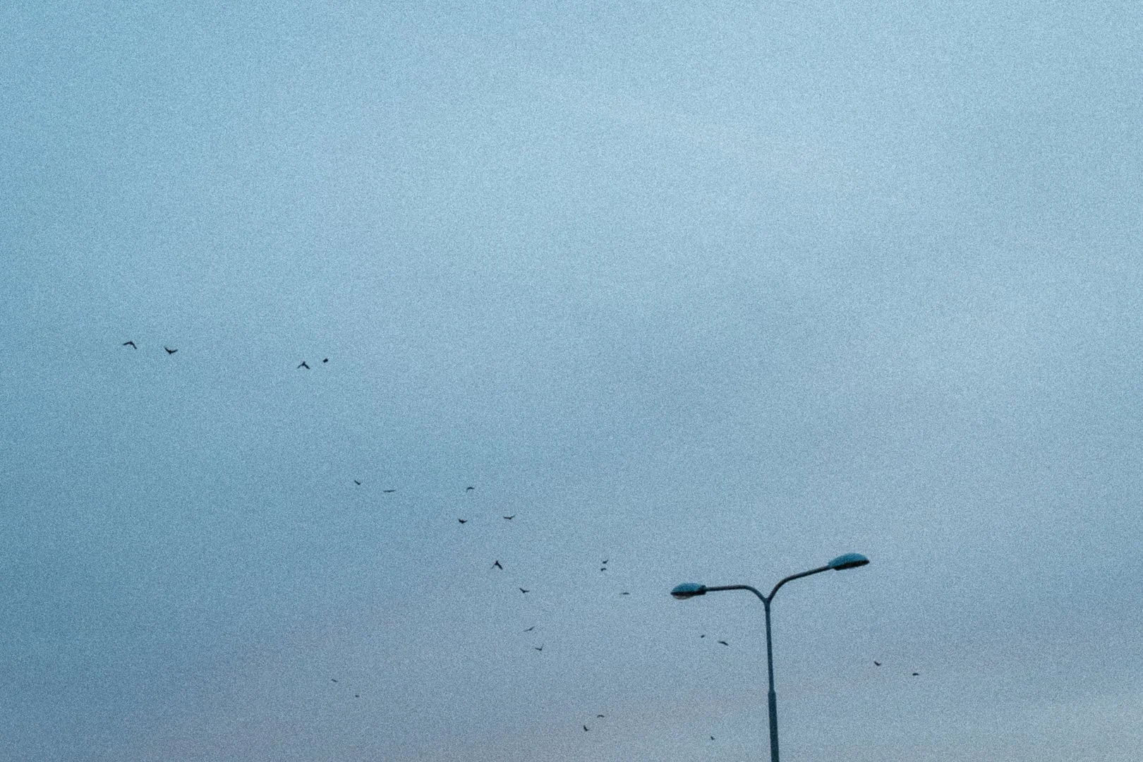 What I learned from taking one photo a day for six months