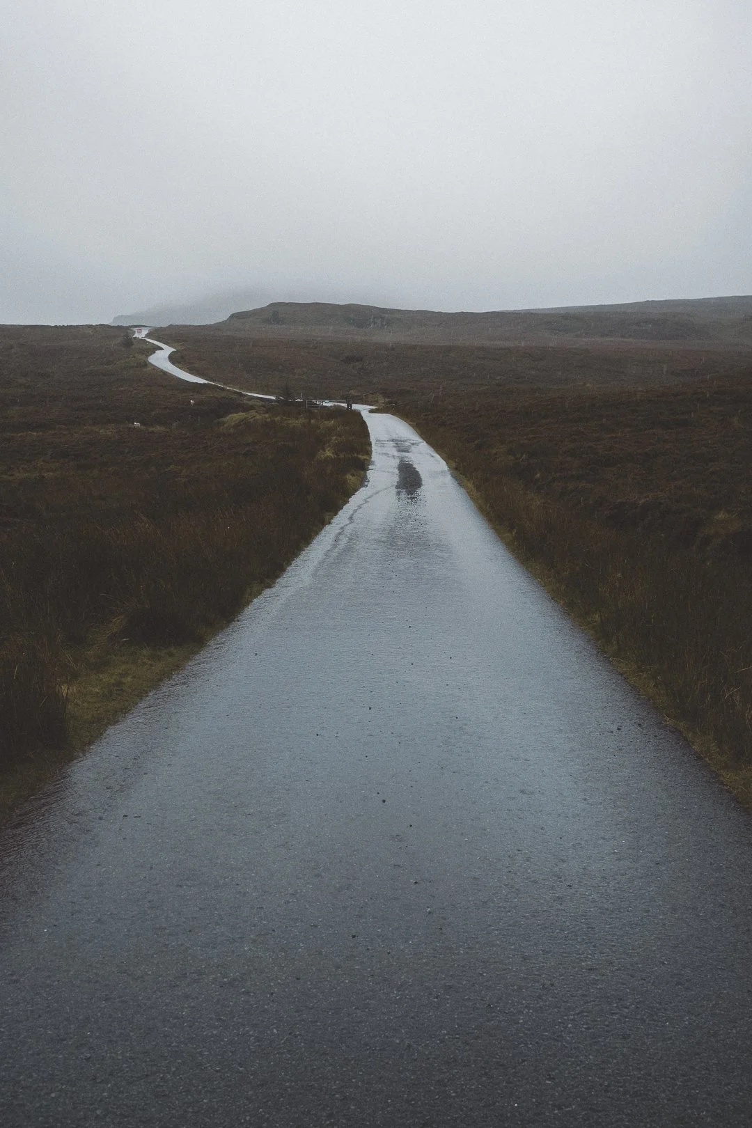 Wet, winding road through a foggy, barren landscape on a gray day.
