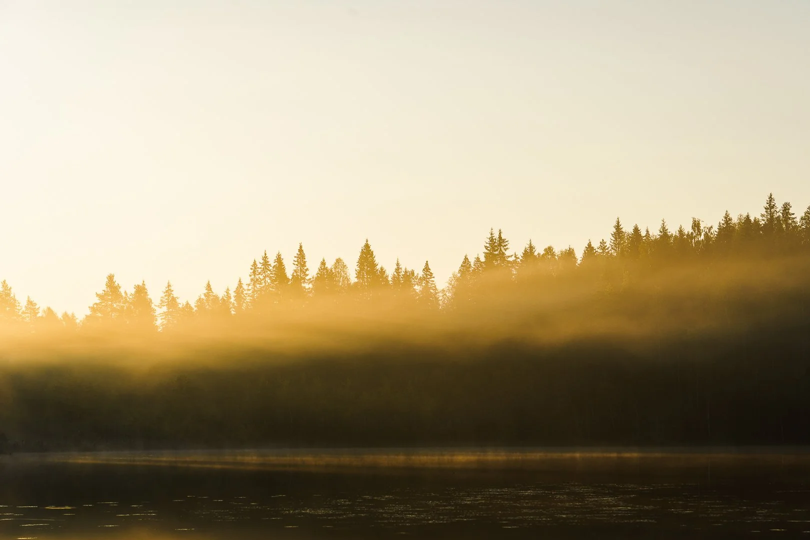 Minimalistic landscape in golden hour