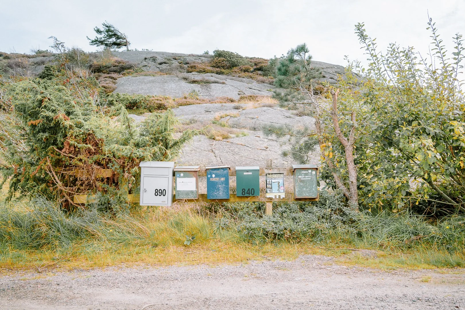 A row of seven mailboxes with various colors and designs, set against a natural outdoor background with trees, shrubs, and a rocky hillside.