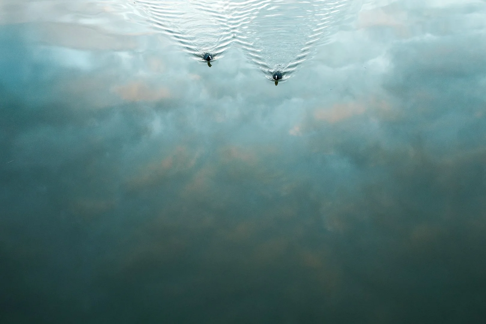 minimal_photo-19.jpg