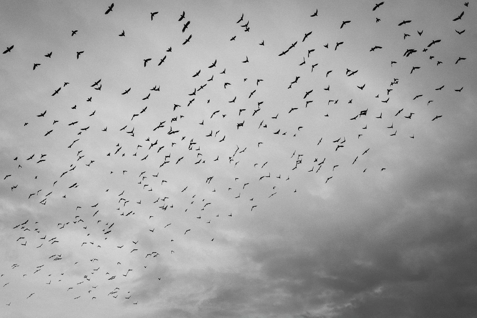 minimal_photo-5.jpg