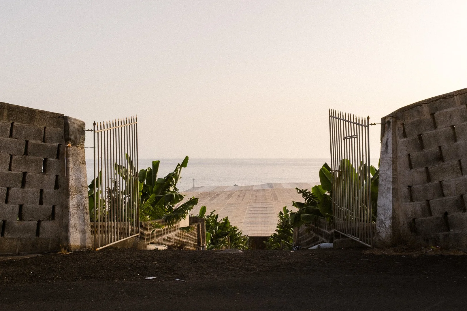 El Remo, La Palma 2026
