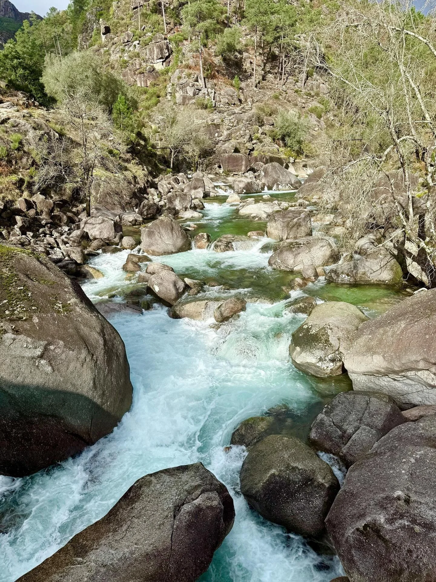 Northern Portugal, what a beautiful place! 🤩🇵🇹

#VanLife #vanlifeeurope #nomadelife #wildcamping #nomaddog #traveldog #portugal