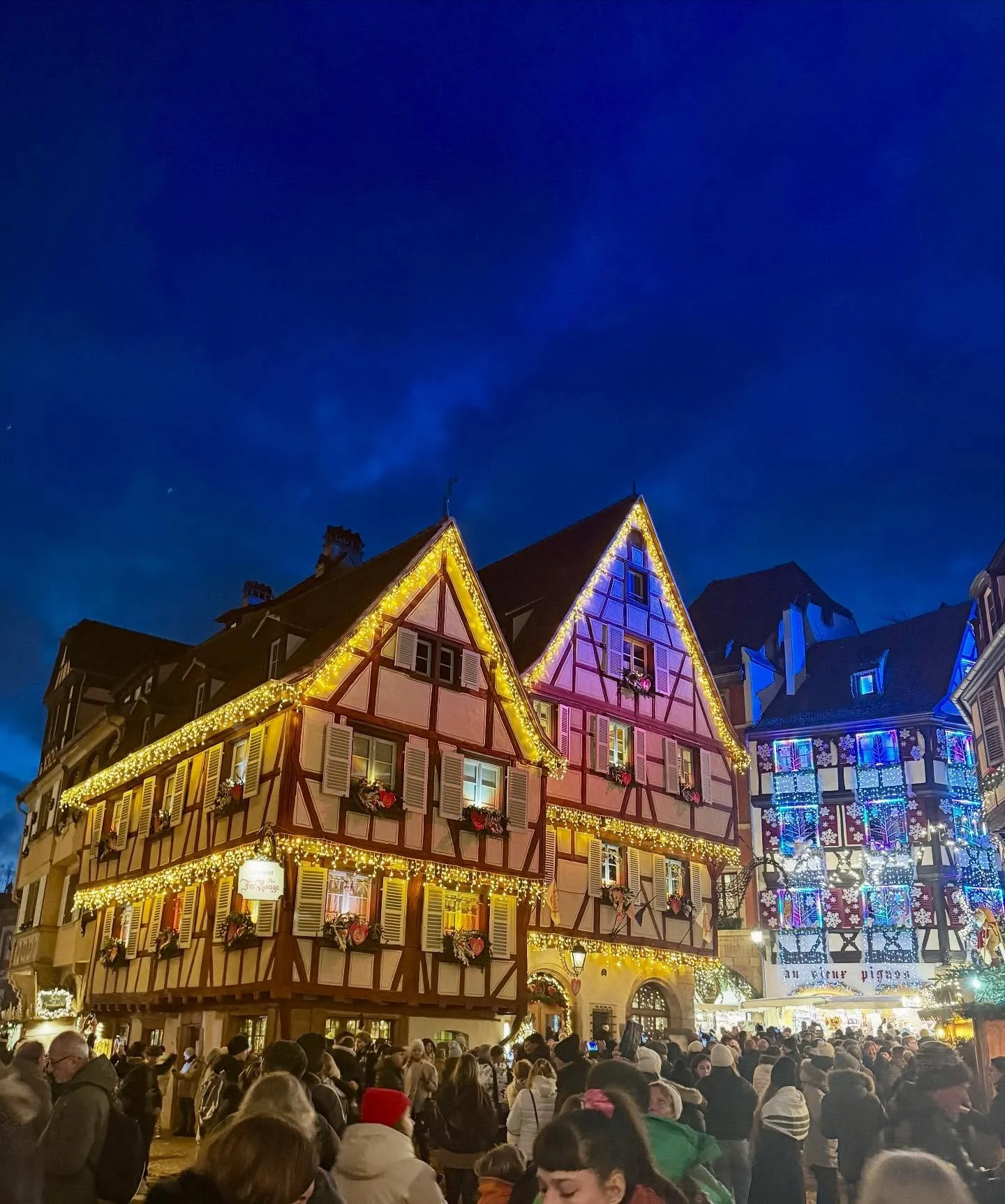 Christmas in Colmar 🇫🇷🎄

#christmasmarket #colmar #france #VanLife #vanlifeeurope #nomadelife #wildcamping #nomaddog #traveldog