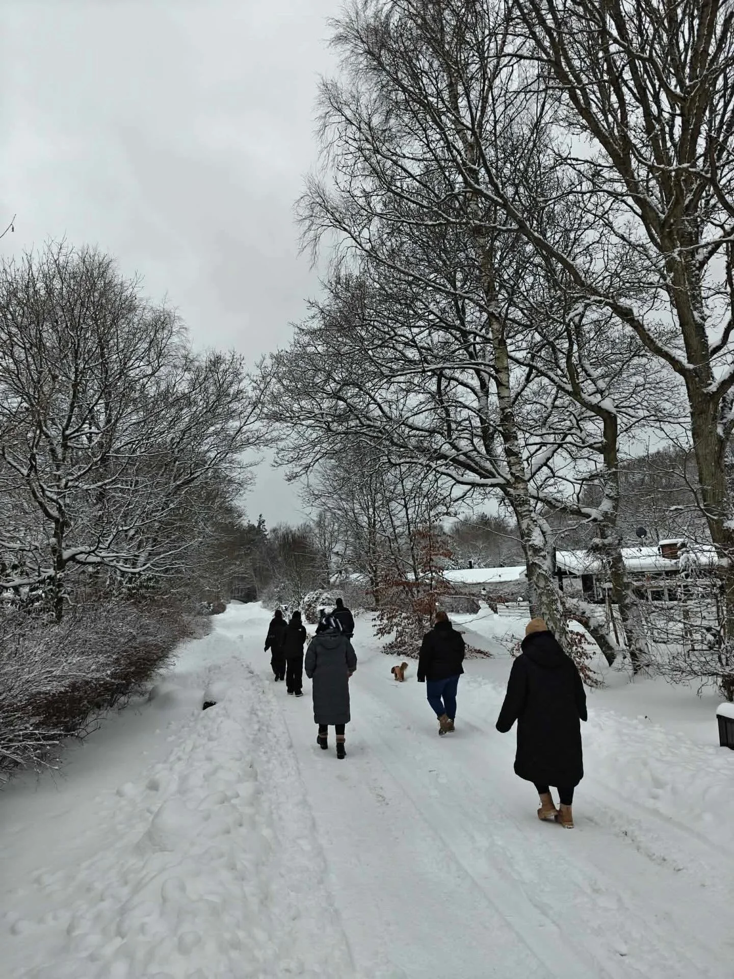 Weekend i sommerhus med familie 🫶🏼

#familytime #winter #sommerhus