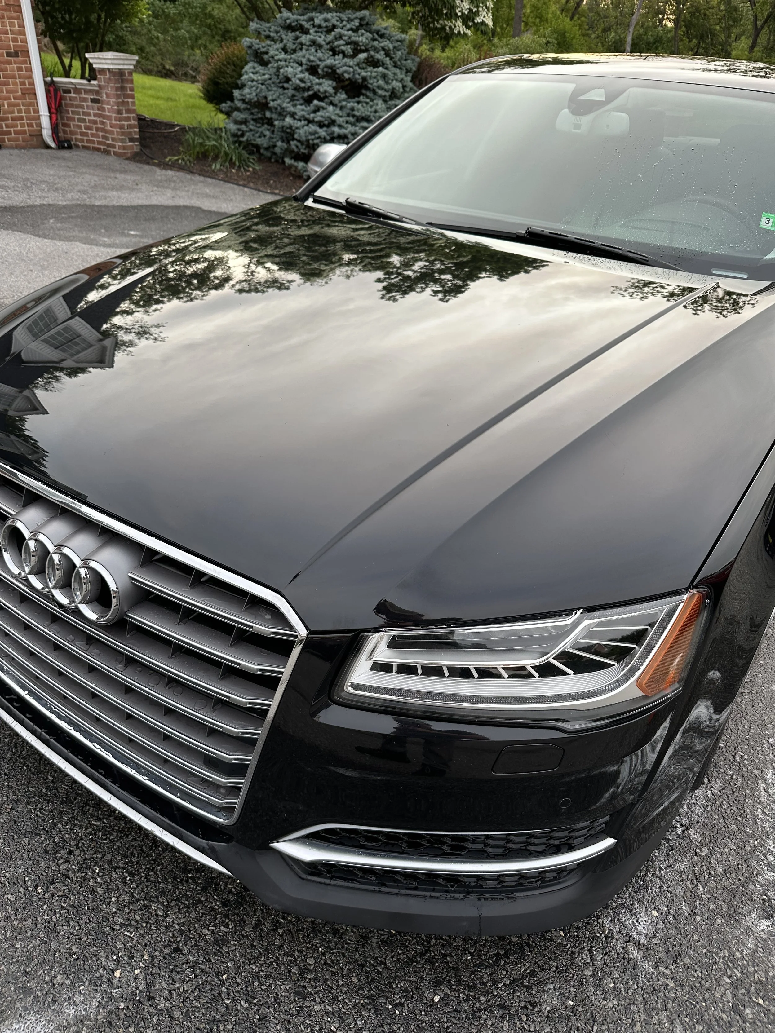 Black Audi sedan parked on a driveway, with a reflection of trees and a cloudy sky on its hood and windshield.