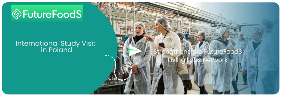 International Study Visit in Poland Strengthens the FutureFoodS Living Labs Network