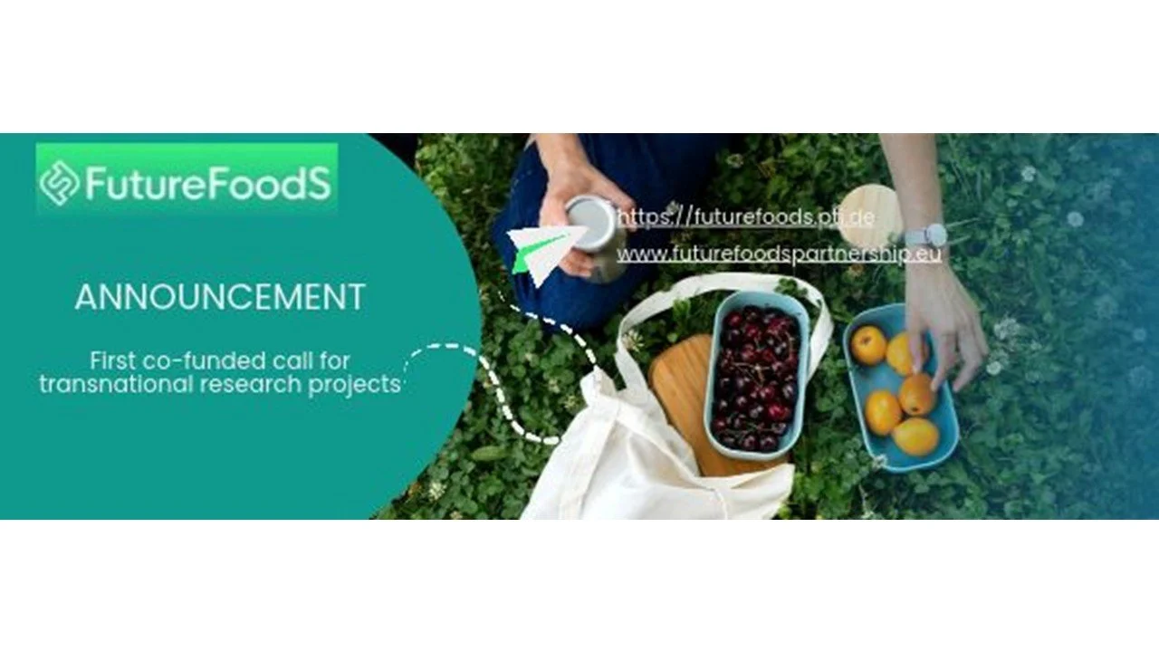 Webinar for interested applicants