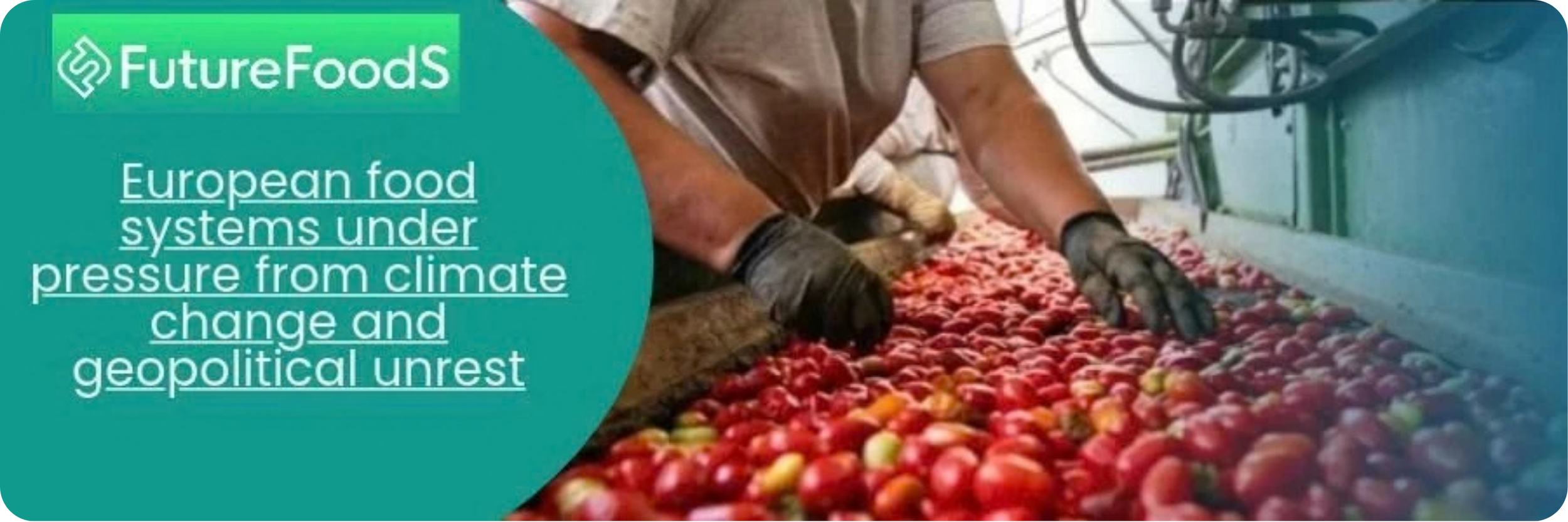 European Food Systems under Pressure – an RIVM horizon scan