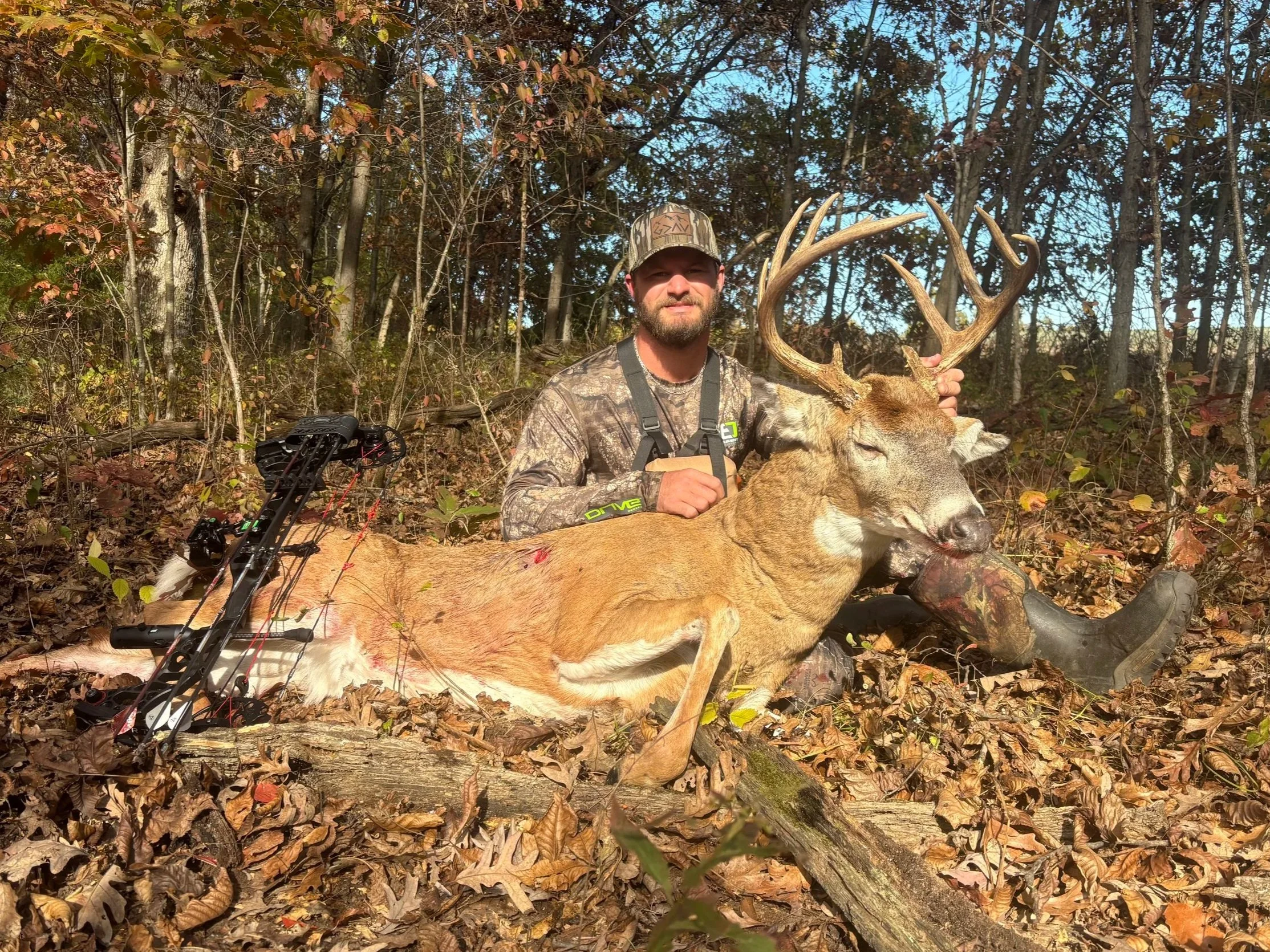 A man in camouflage clothing sitting beside a large deer he has hunted. The deer is lying on the ground. The man is holding the deer's antlers and is wearing a camouflage cap. There is a bow and arrows on the ground beside him. The background consist