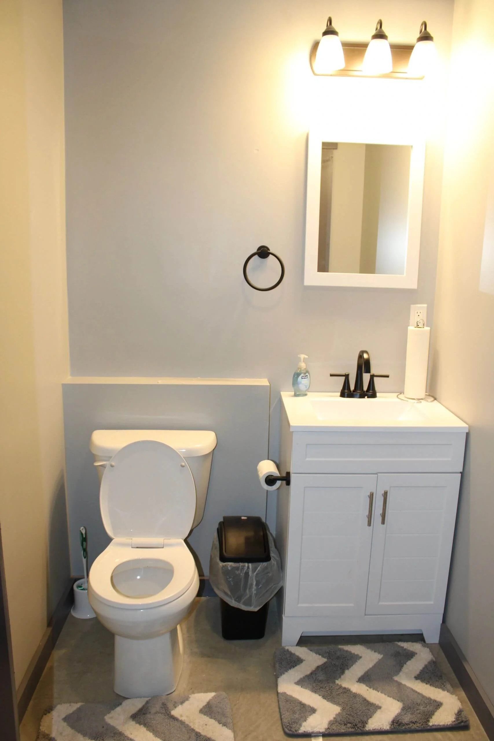 A compact bathroom with a toilet, small white vanity with a black faucet, wall mirror, and three-light fixture. Items include a hand soap bottle, a roll of toilet paper, a trash can, a black waste bin, and a gray and white zigzag rug.