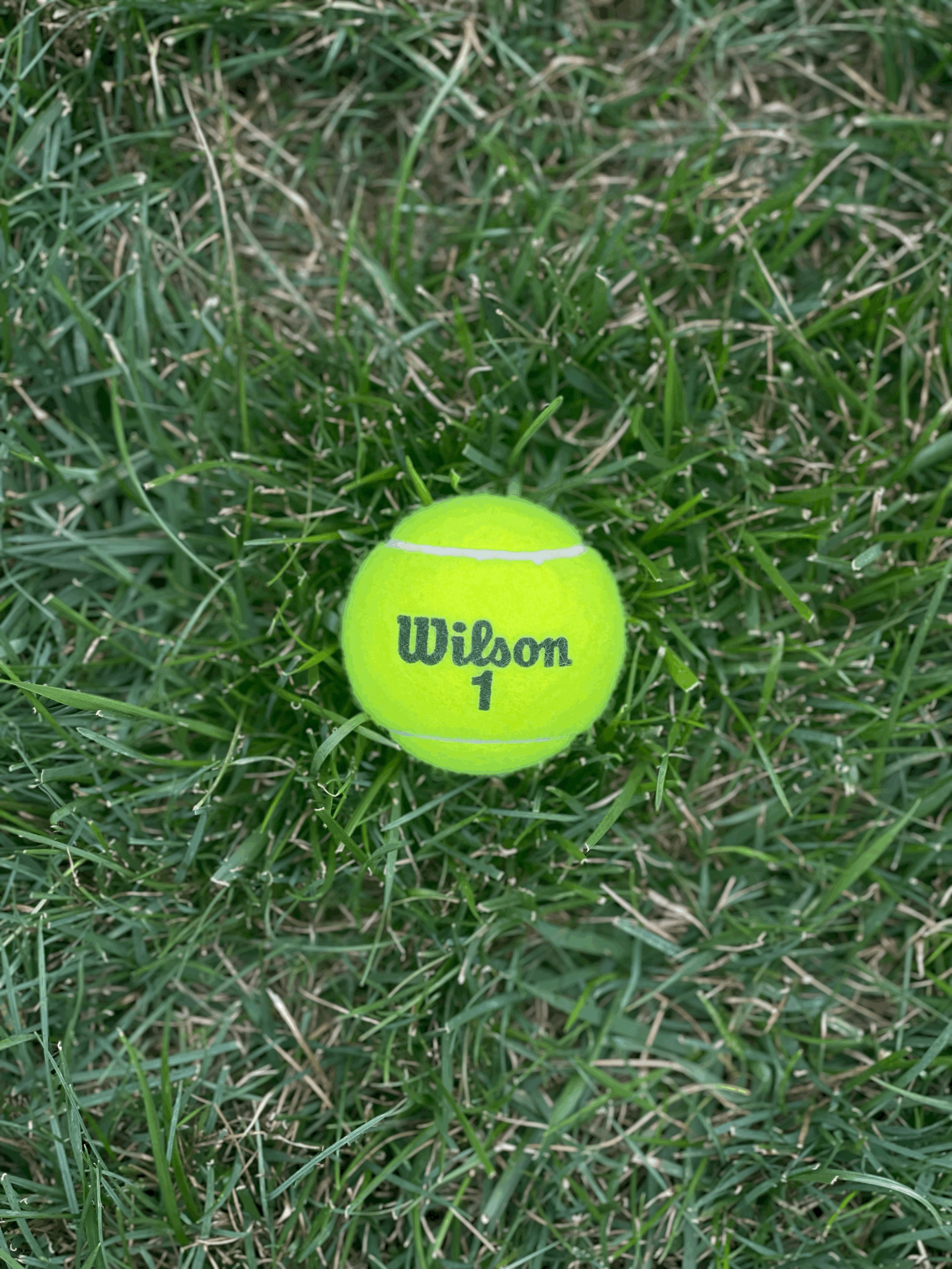 Classic Tennis Ball