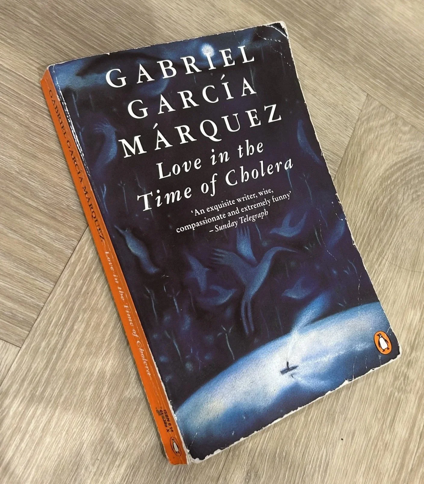 Love in the Time of Cholera