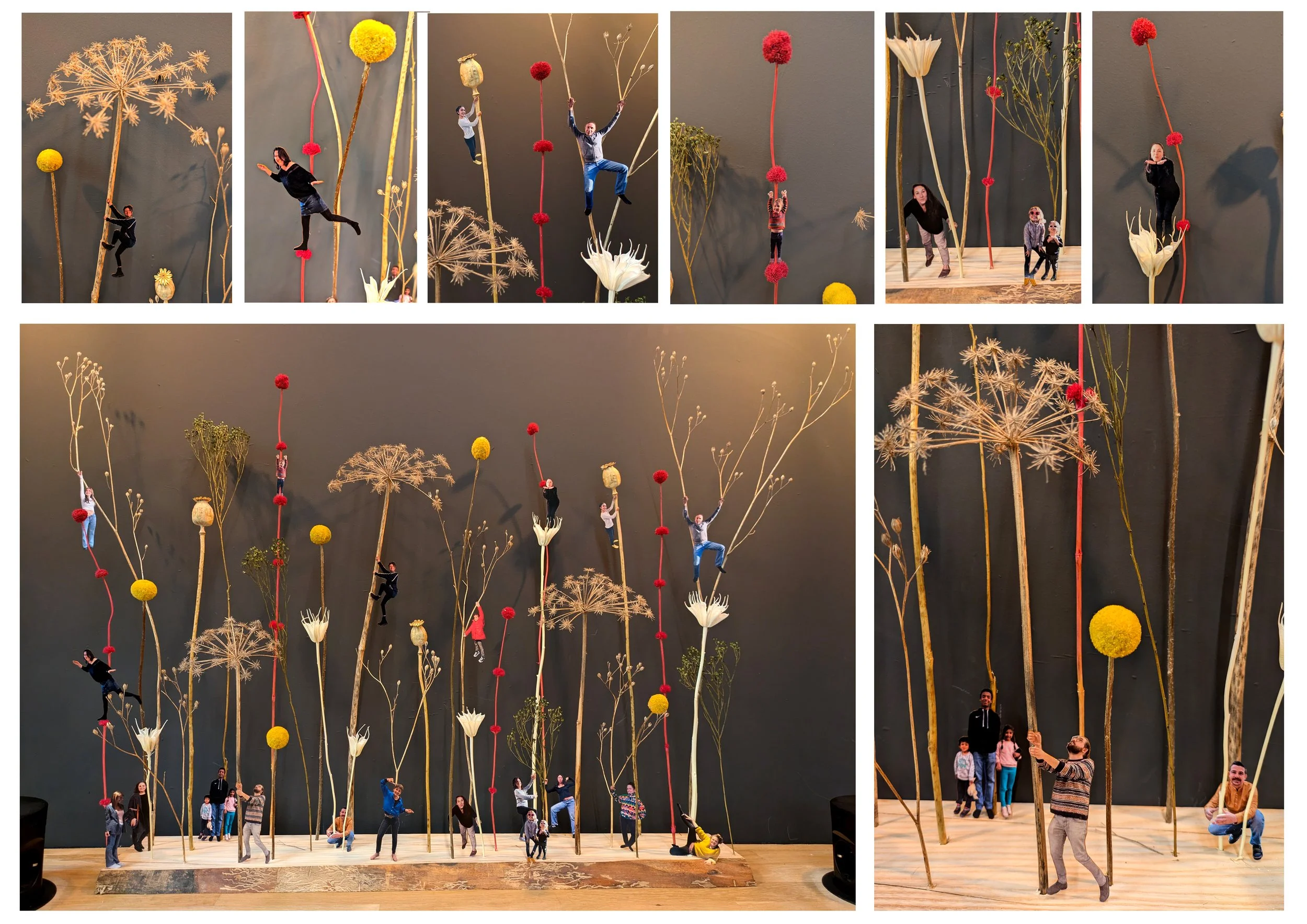 Planche micro macro evy.jpg