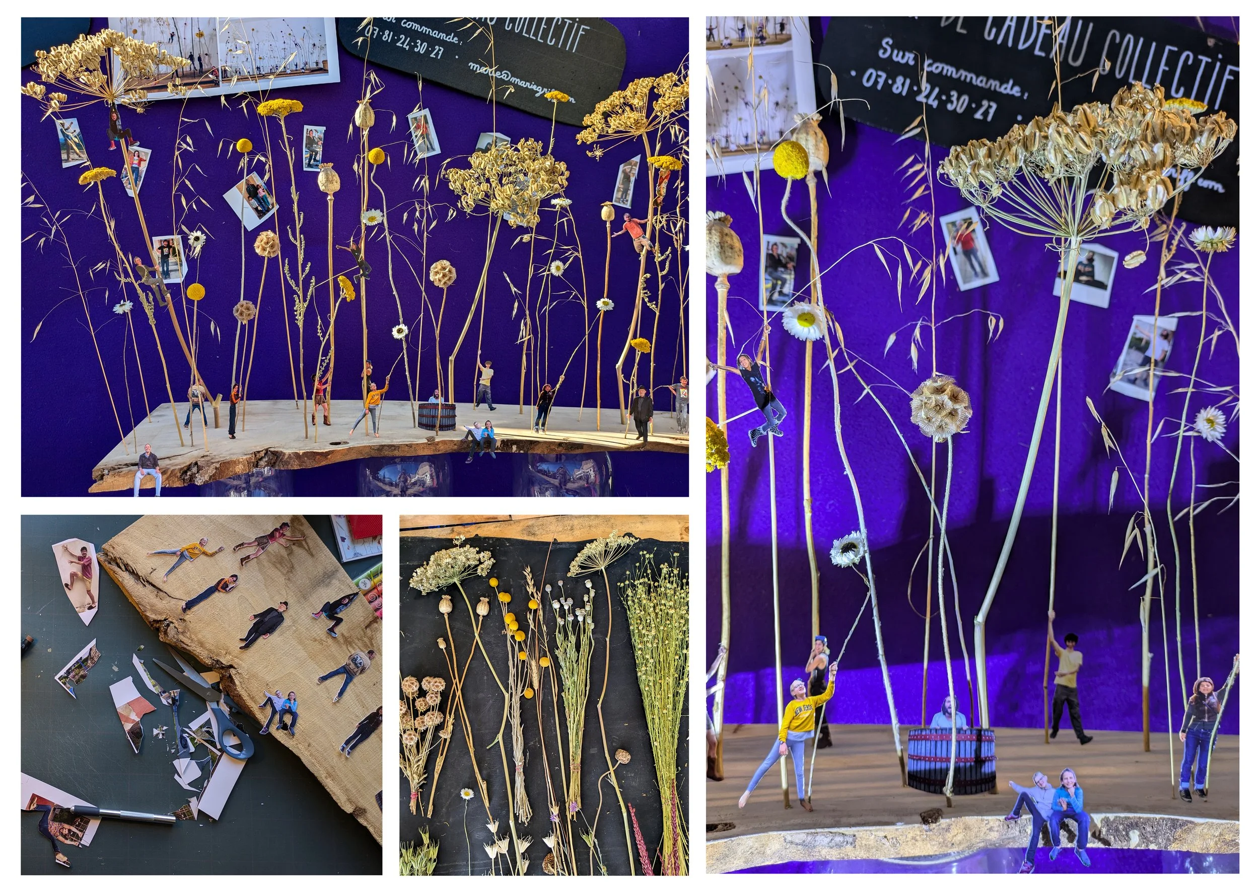 Planche micro macro cathary.jpg