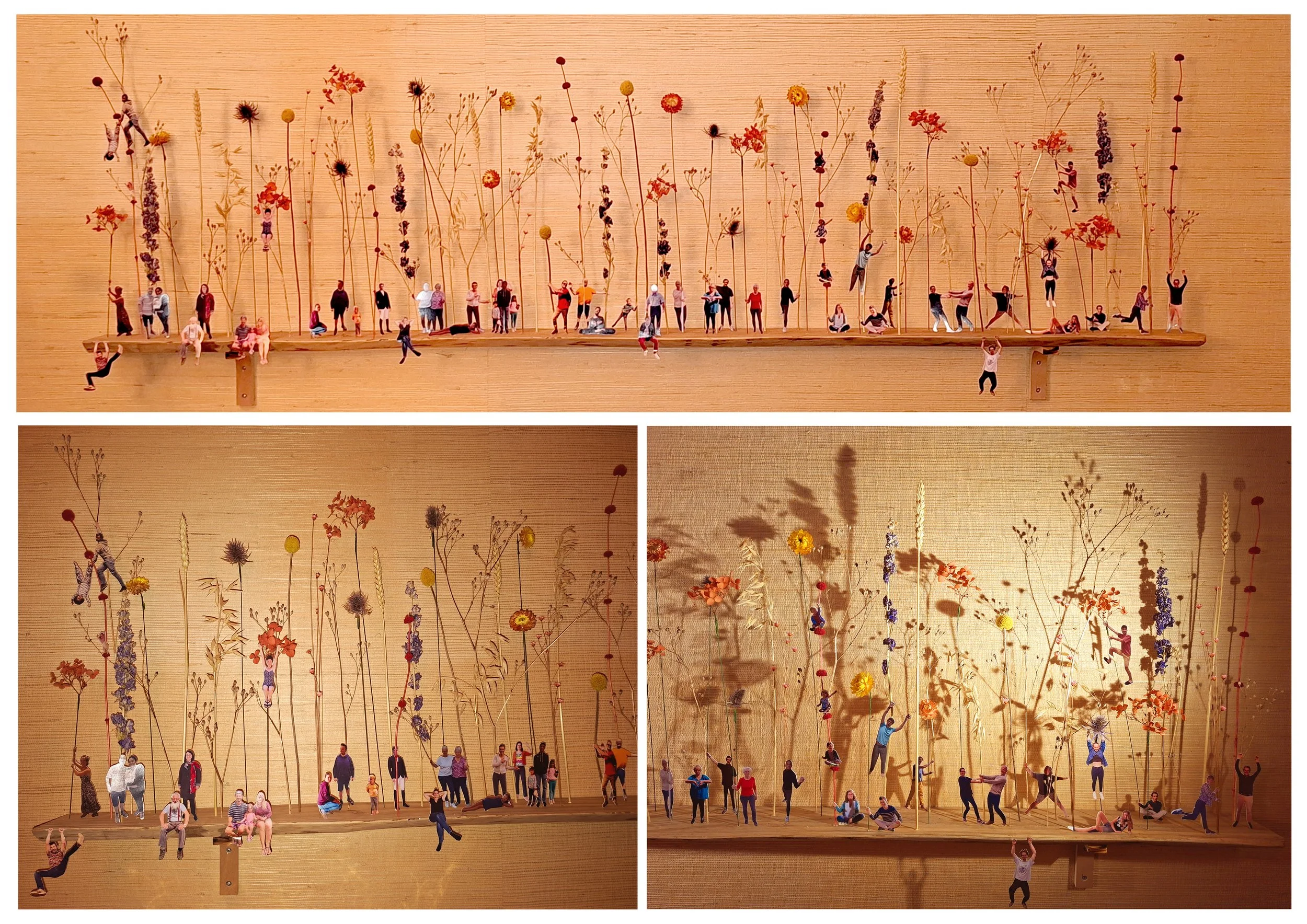 Planche micro macro mamie.jpg