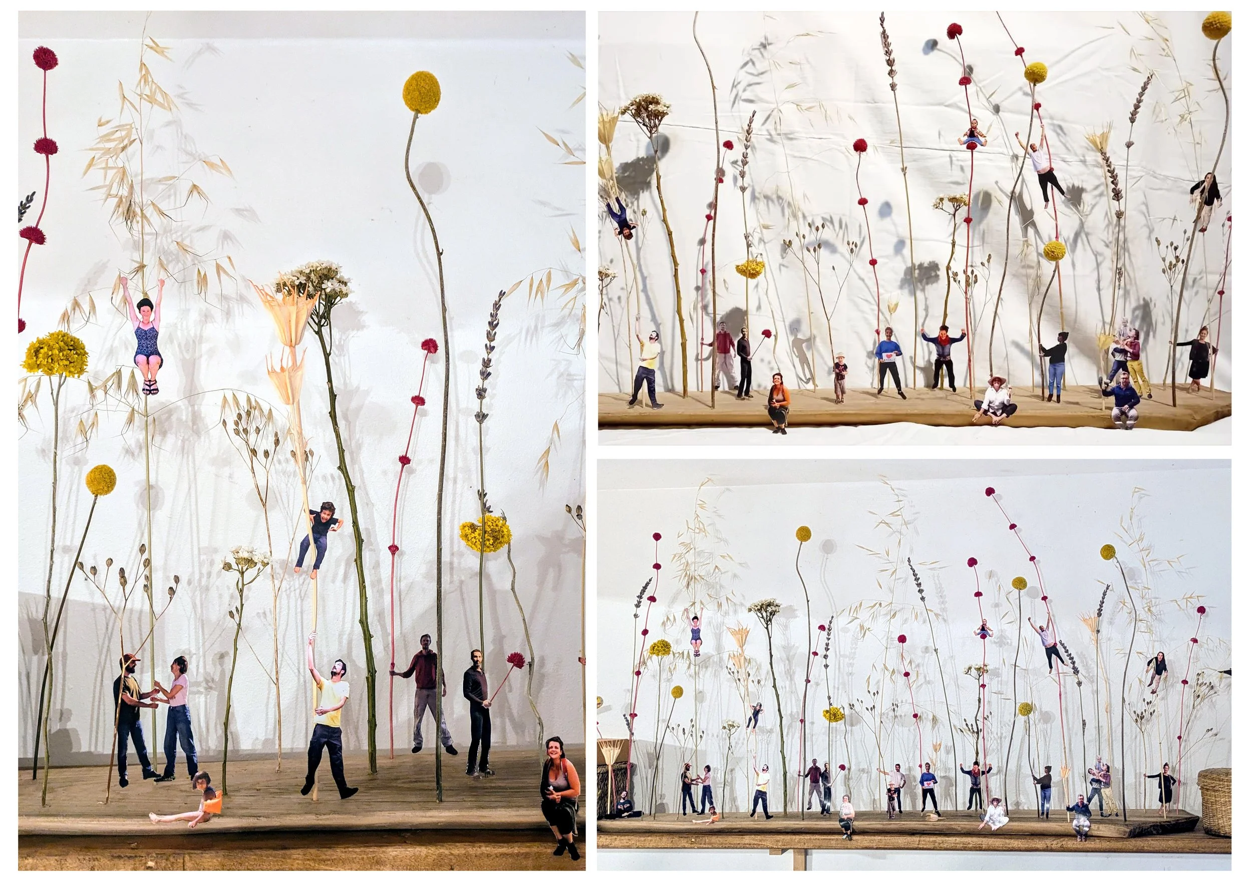 Planche micro macro camille-Récupéré.jpg