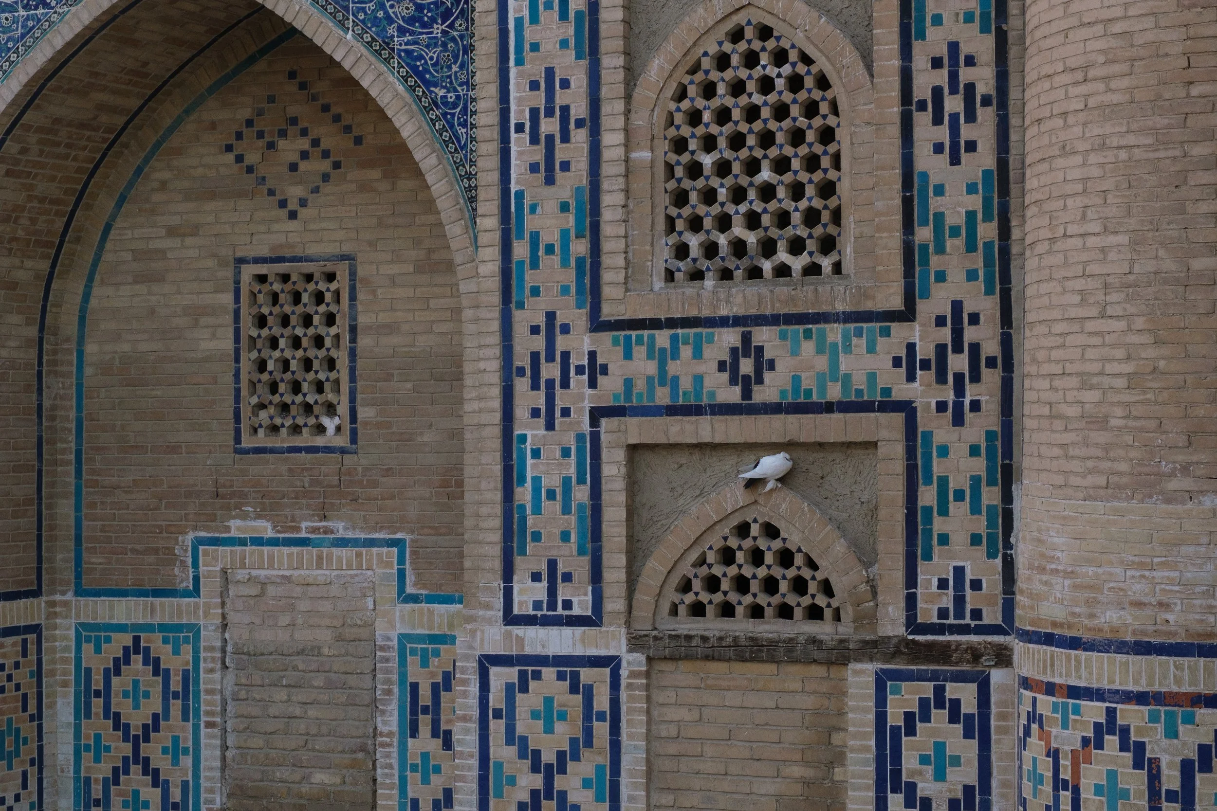 DSCF1298.jpg