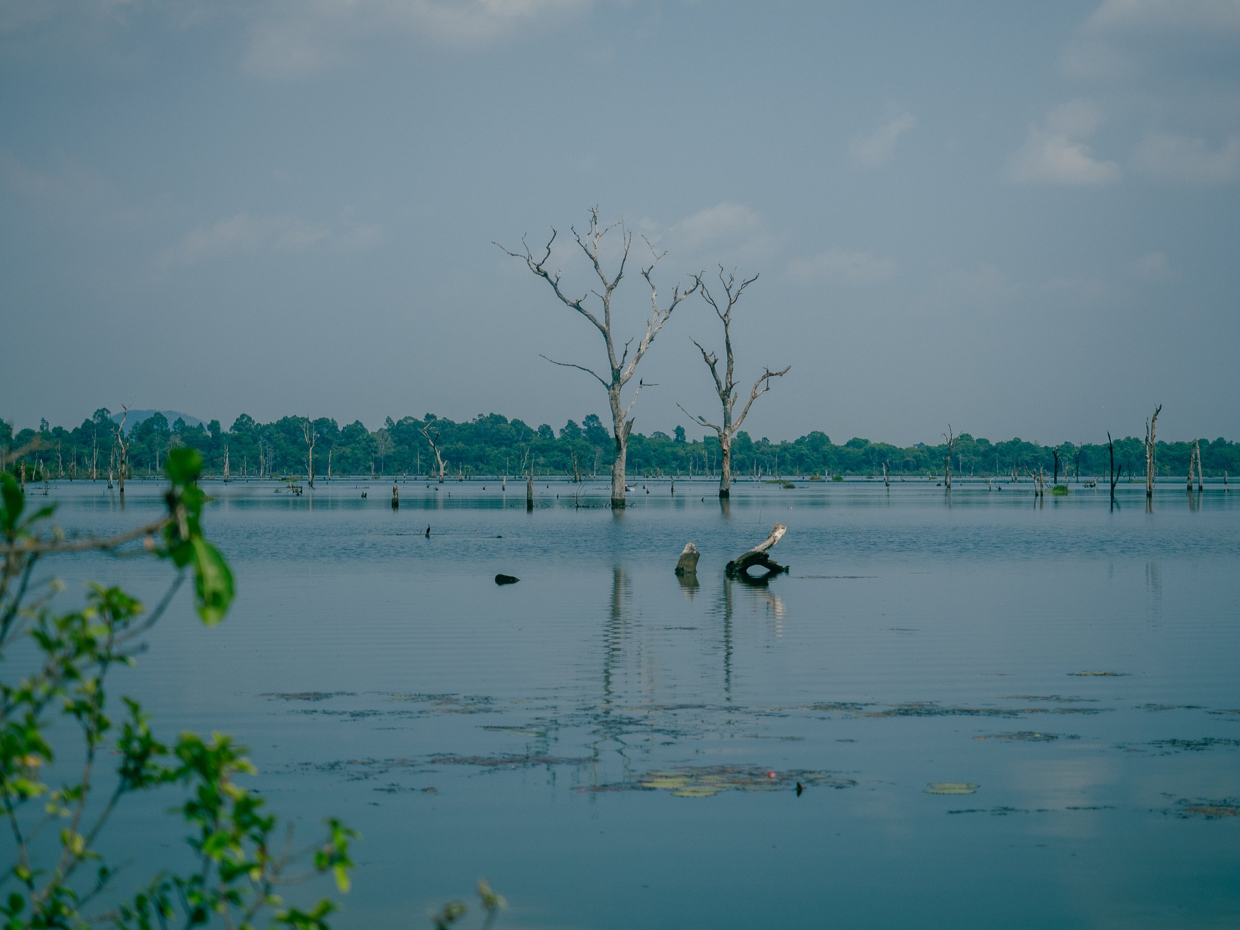 Cambodia - Angkor