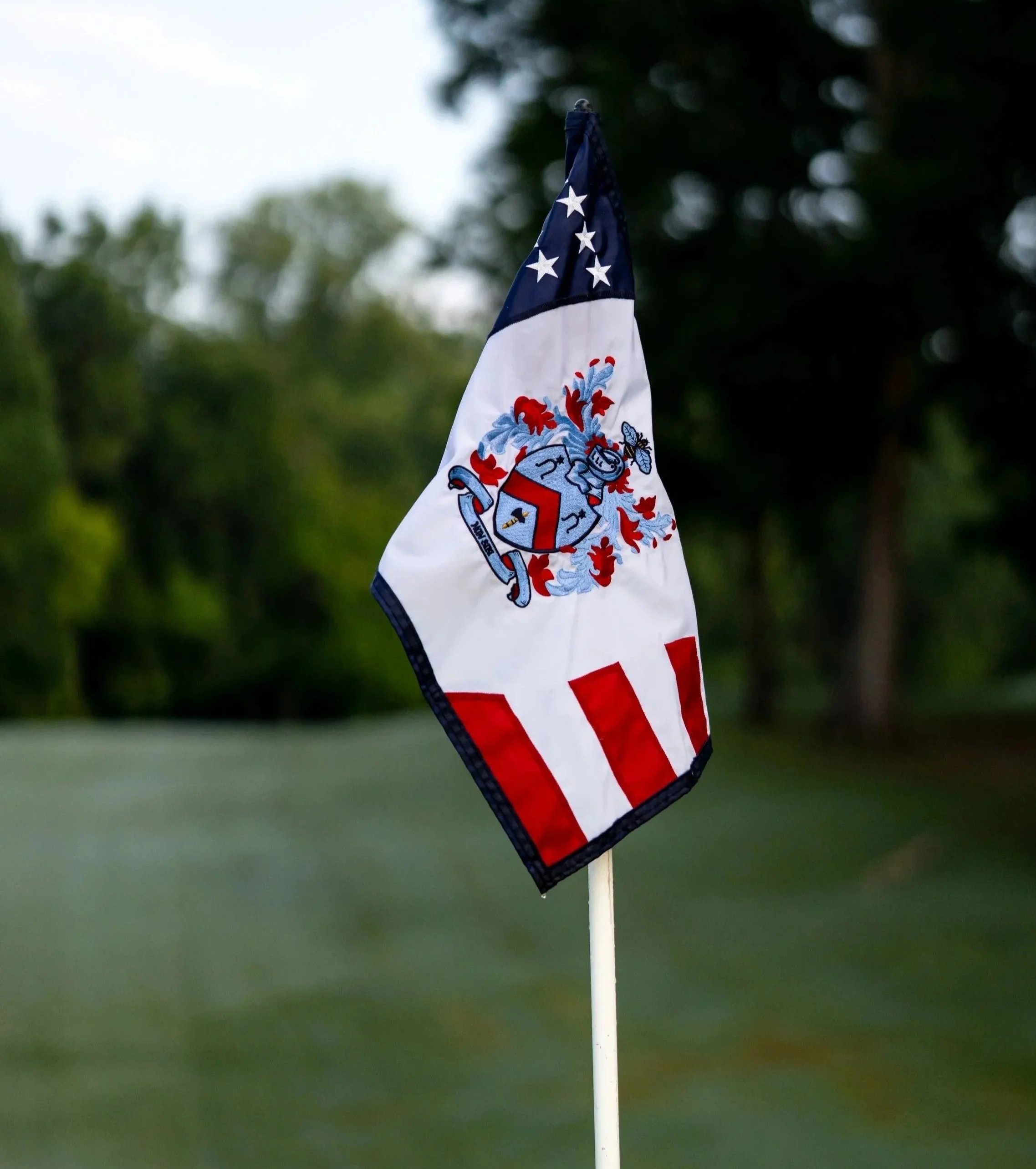A flag with patriotic colors and symbols, mounted on a white pole, with a blurred green outdoor background.