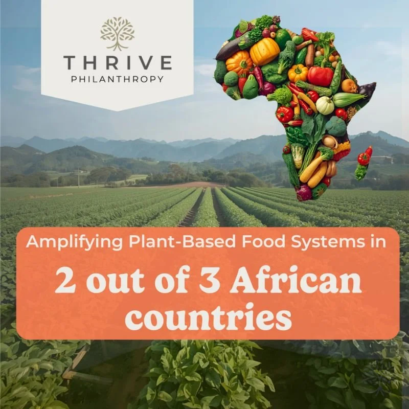 Thrive Africa Amplifies!