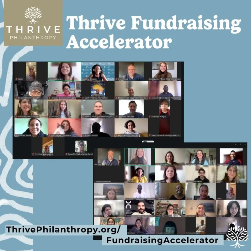 Thrive Fundraising Accelerator - Success!