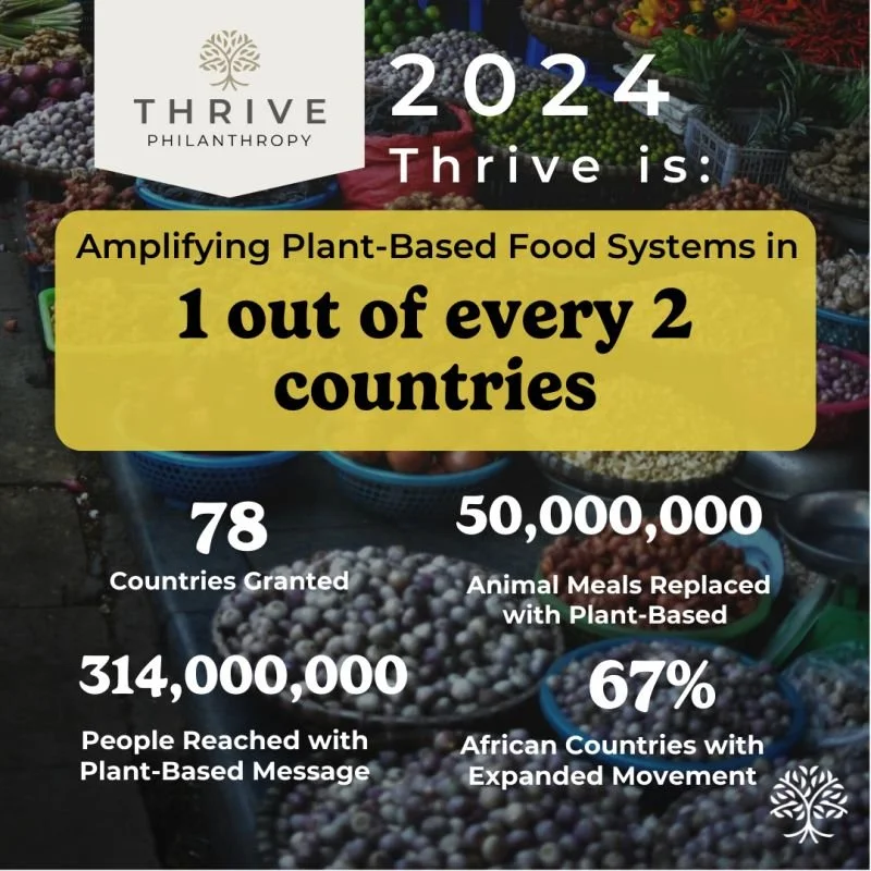 Thrive Philanthropy’s 2024 Annual Report: A Year of Global Impact 