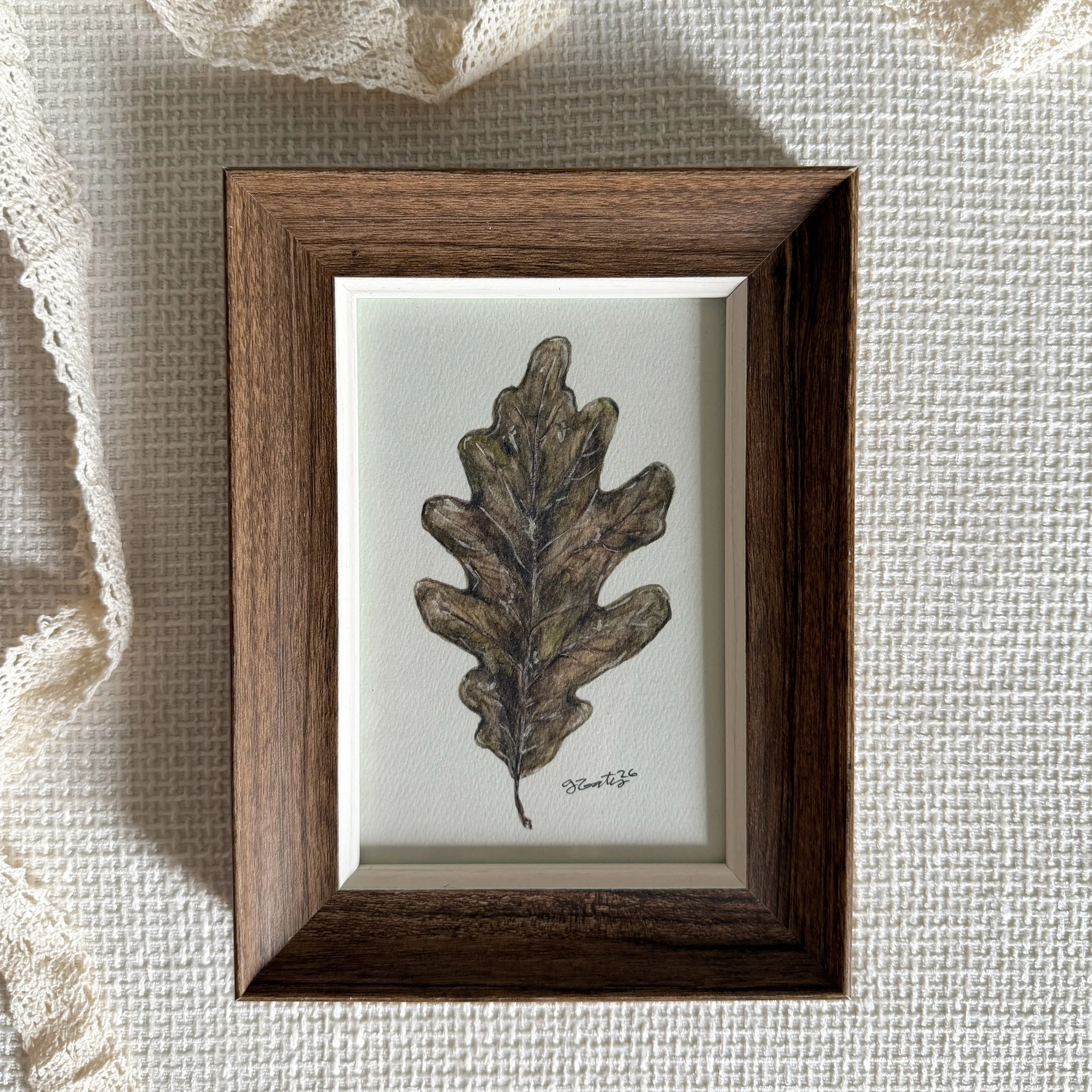 Oak - Framed Print