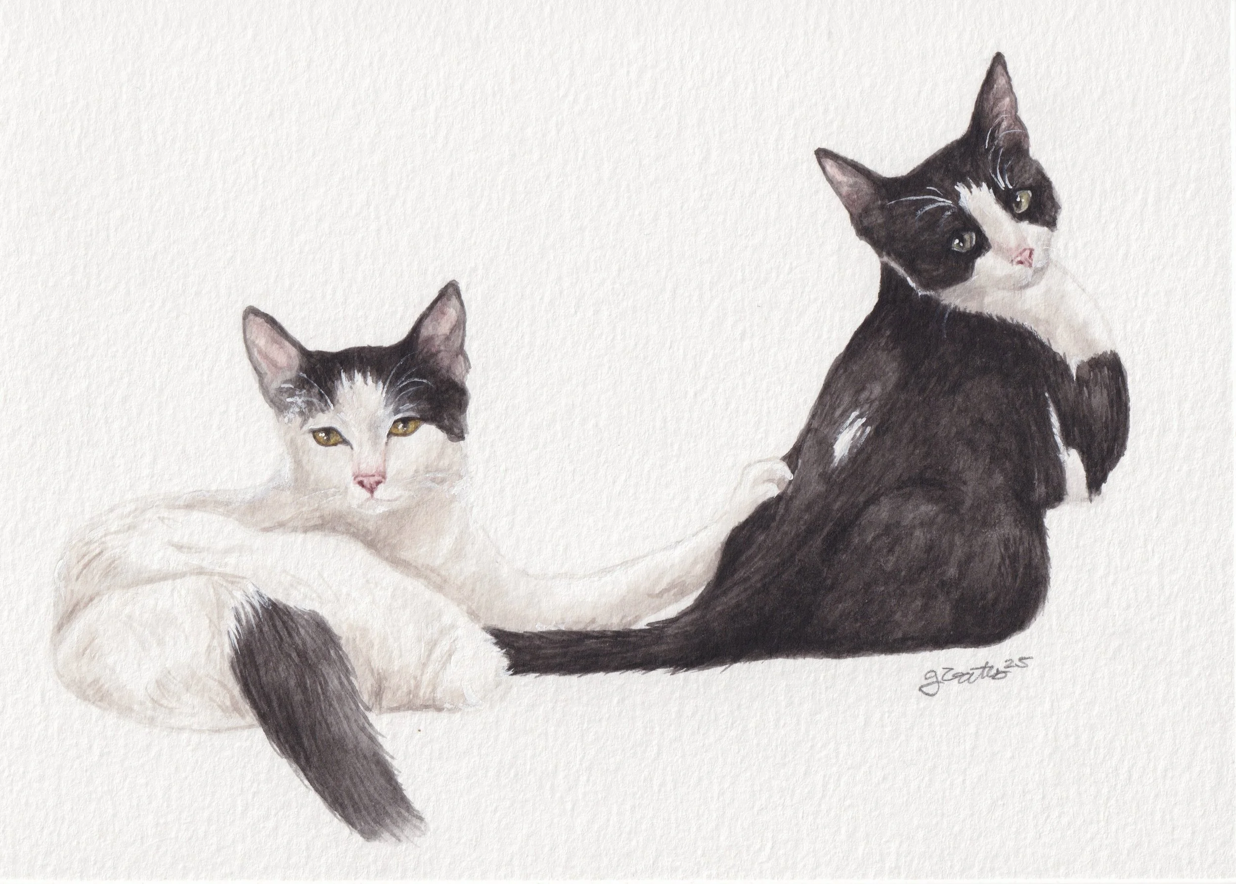 kristincats.JPG