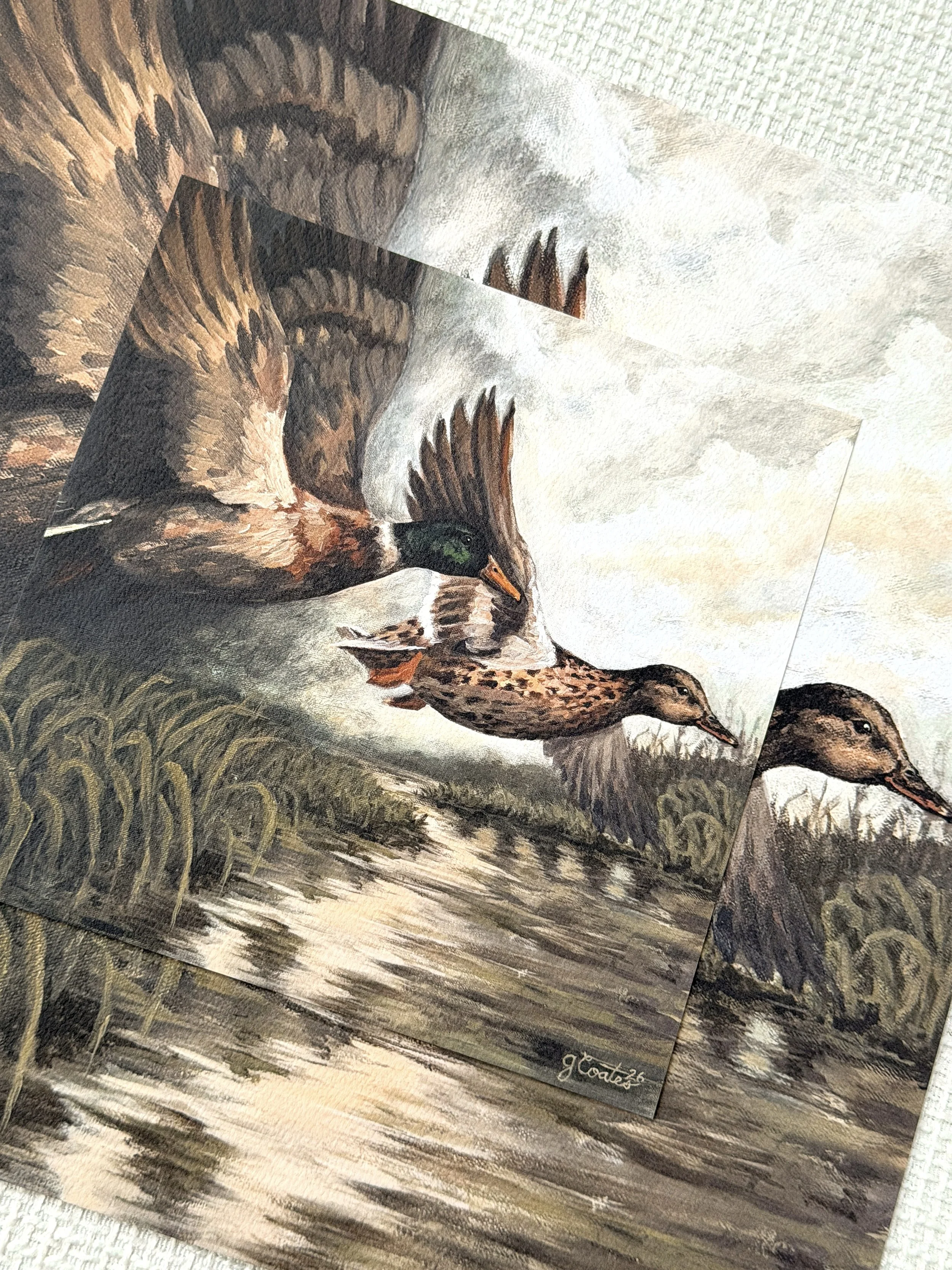 Mallards - Oil Pastel Print