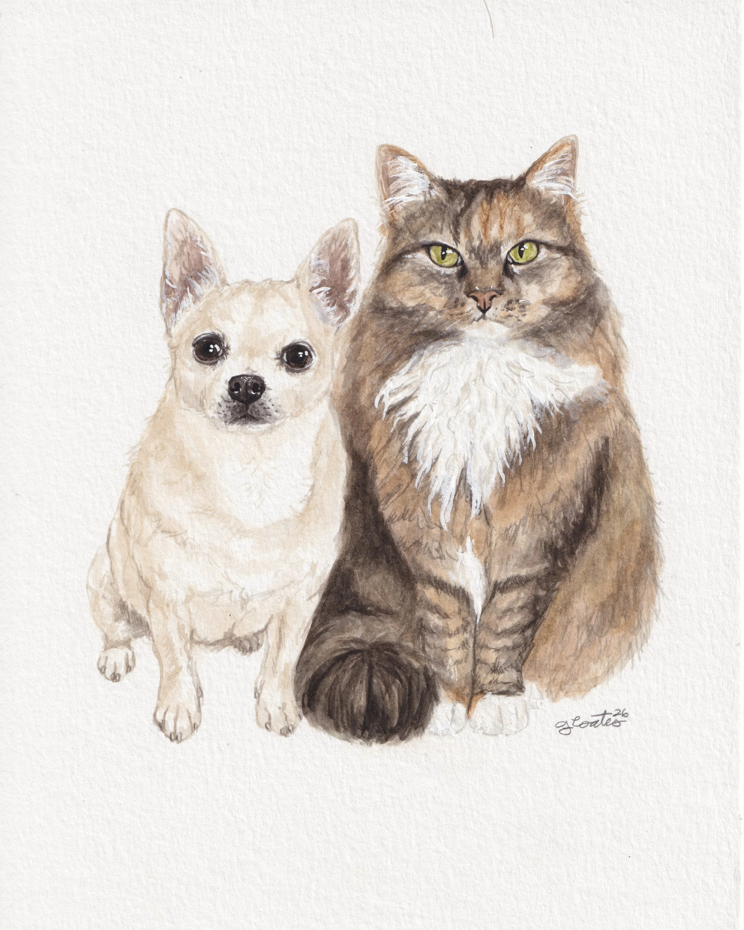 avadogcat.jpg