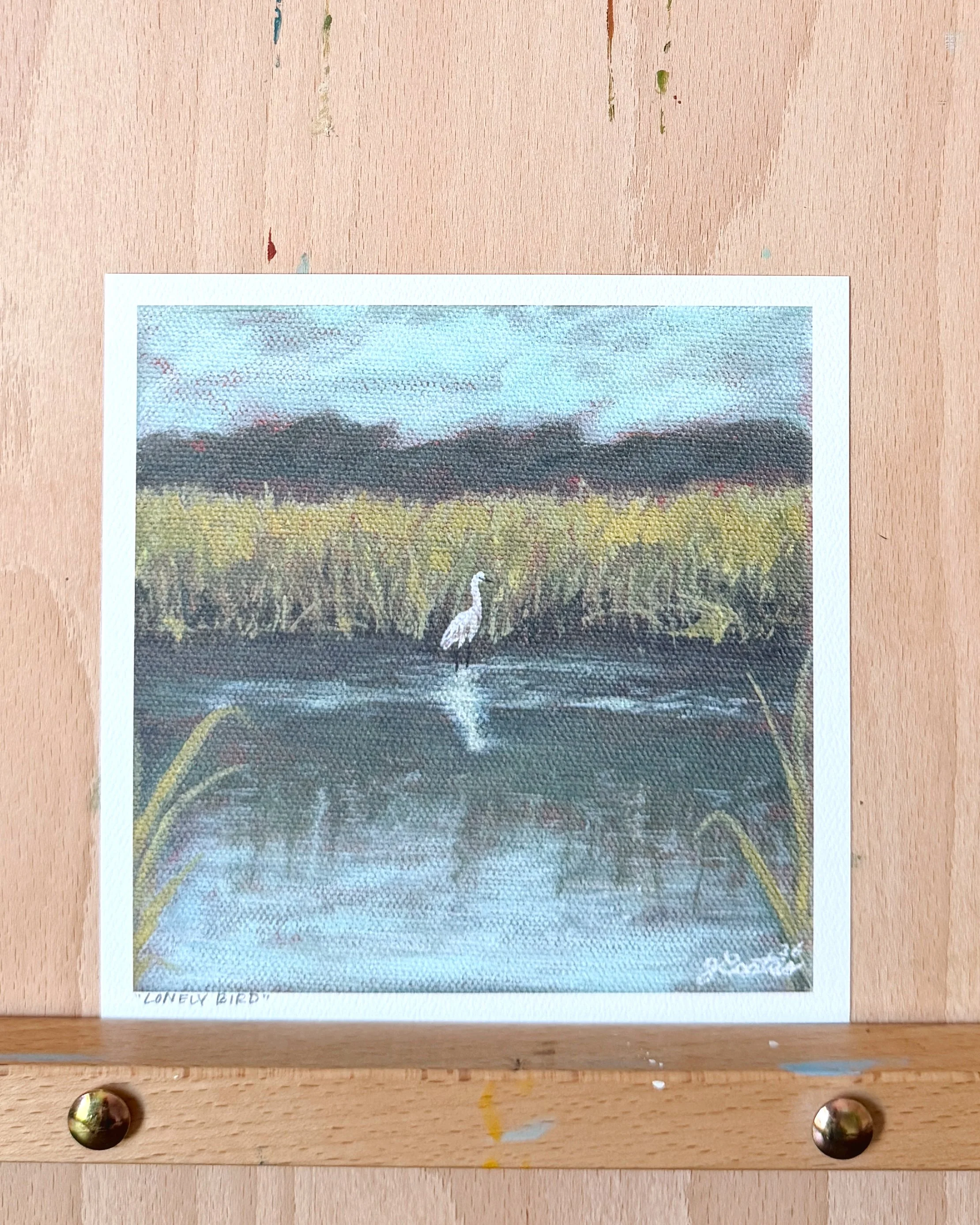 Lonely Bird - Acrylic Print