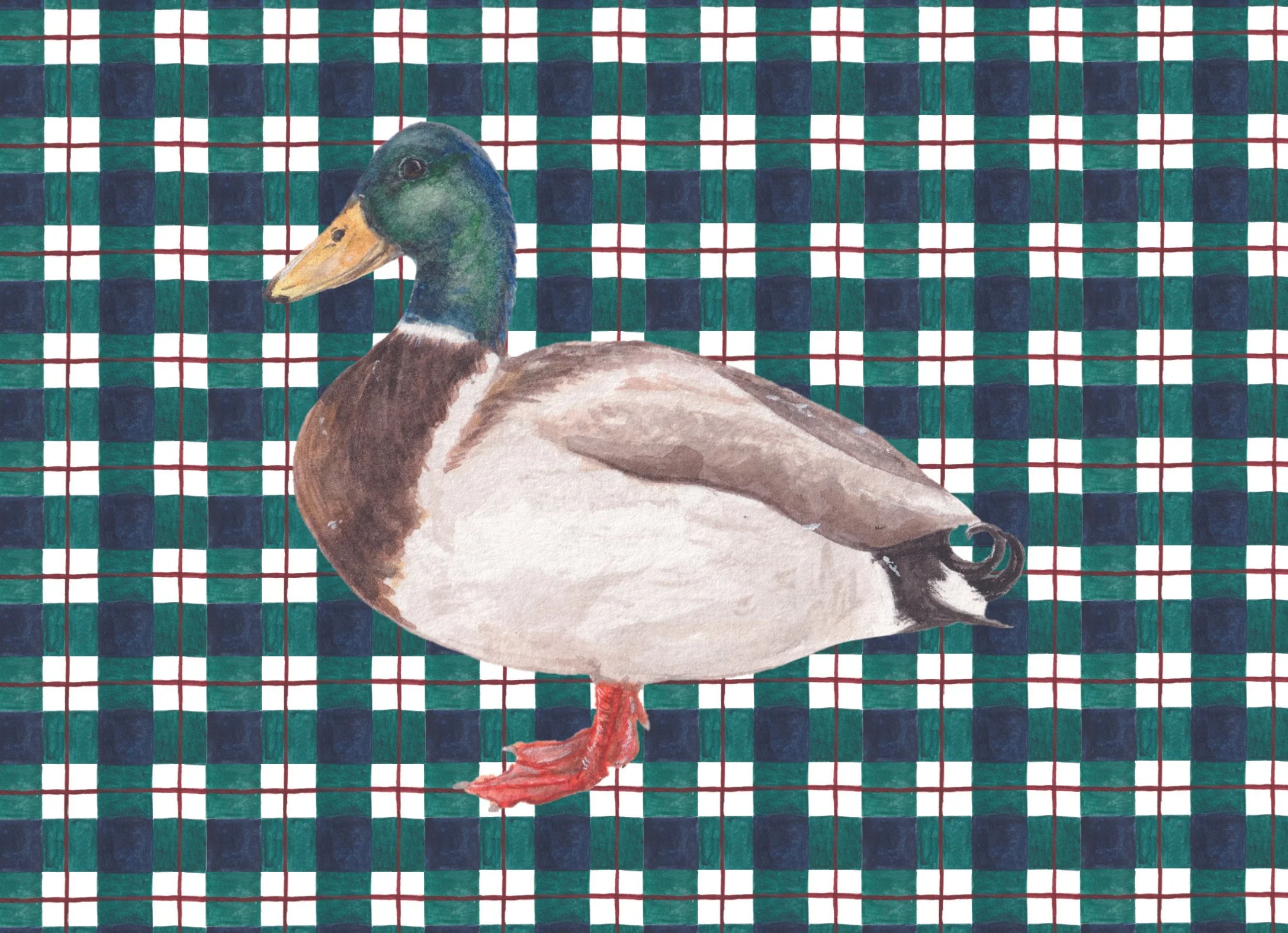 Duck Art Print